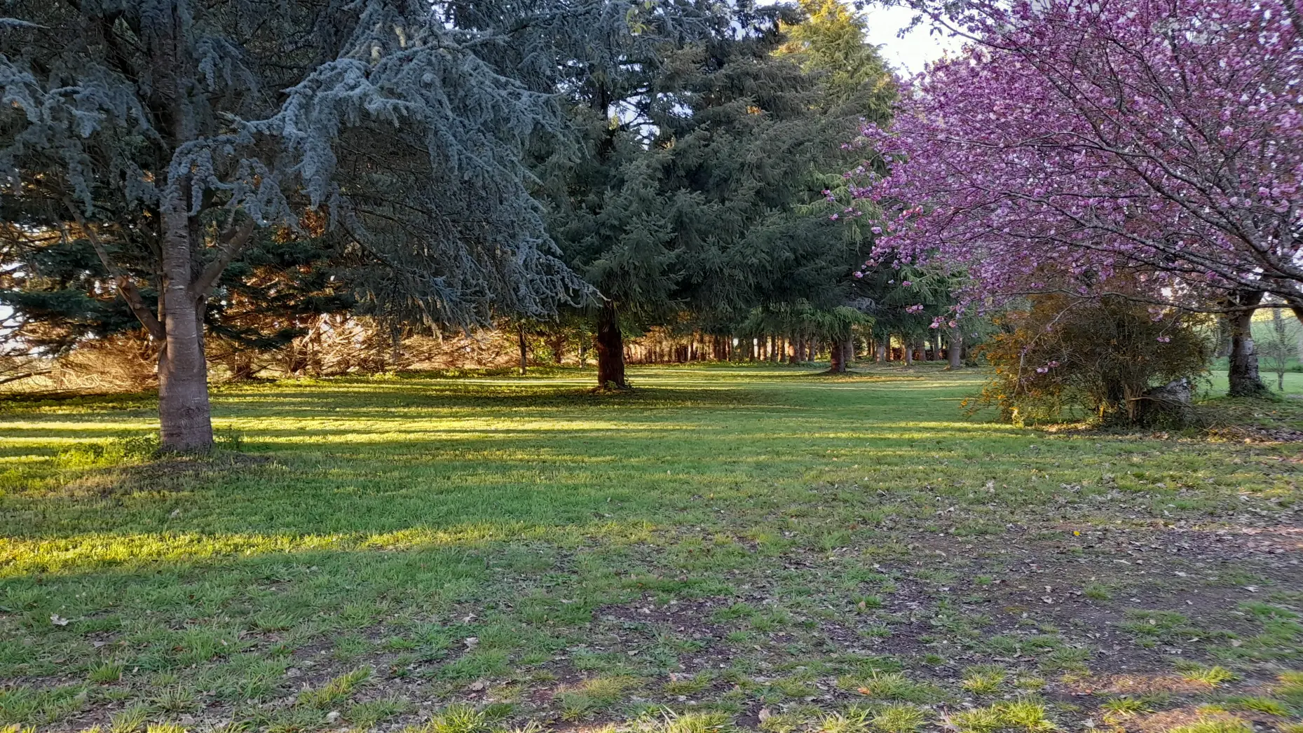 Barradoz Glaz (Au bord de l'étang) #4