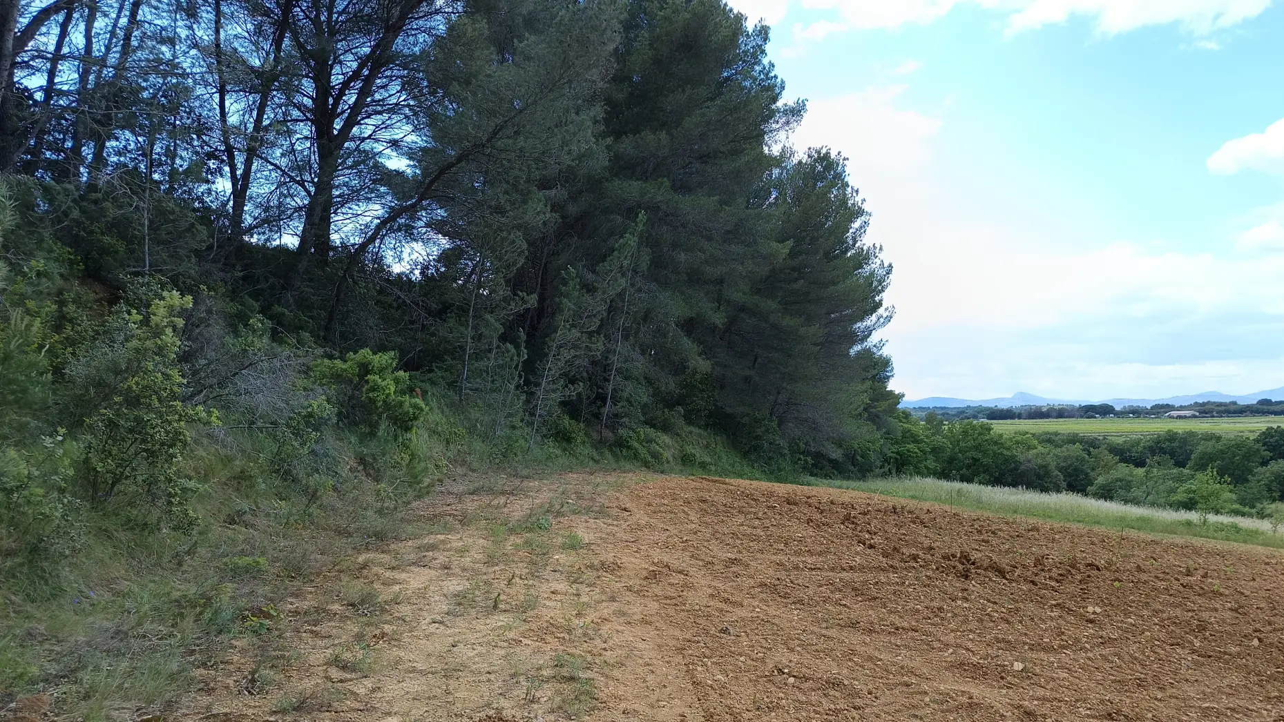 La vue de l'obstiné