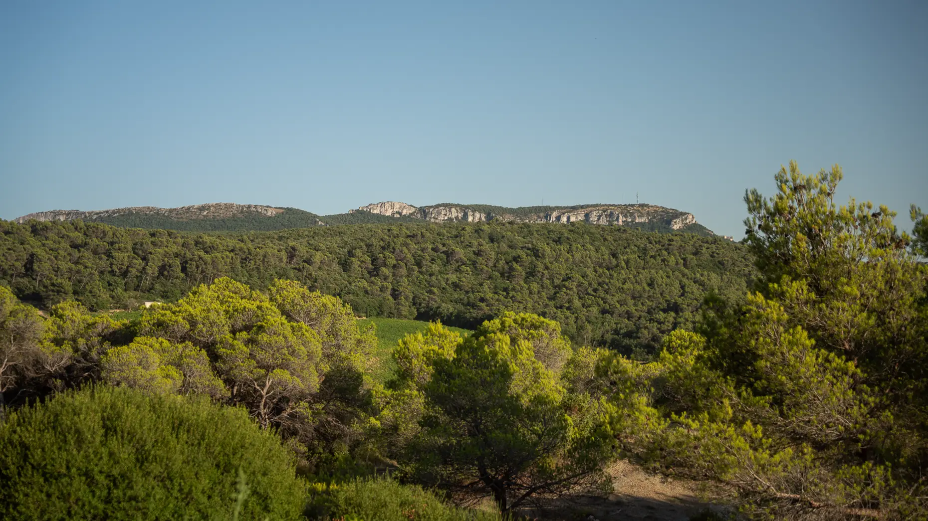 Maupas (mauvais passage)