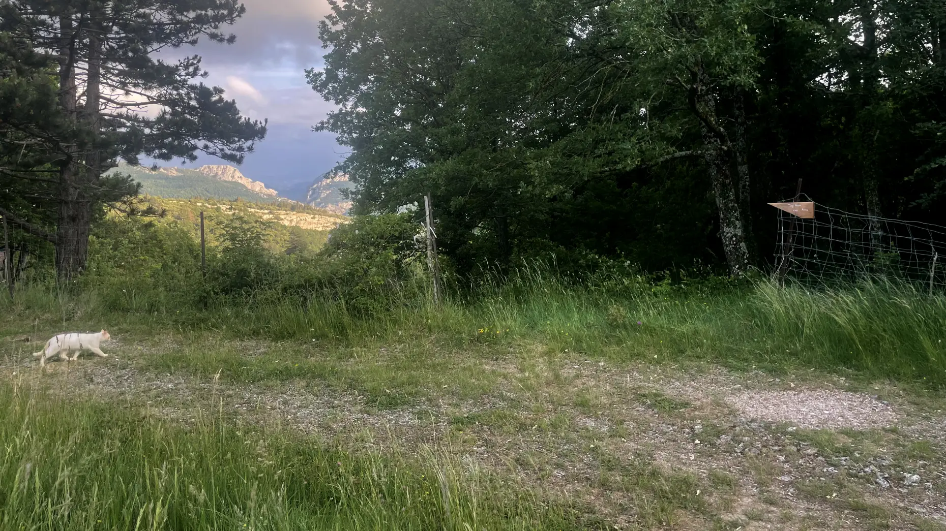 L'îlot de chez Anna