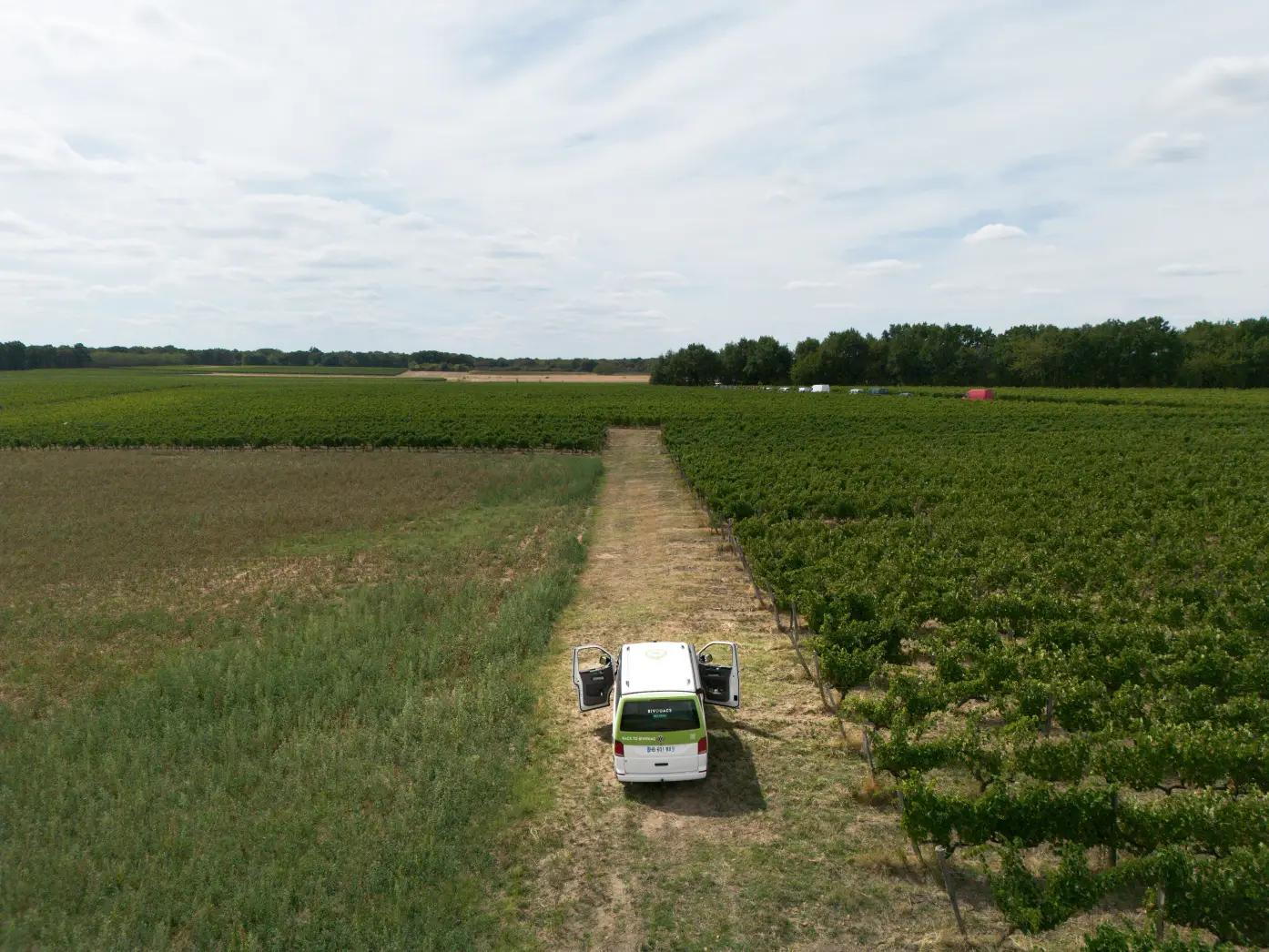 Domaine de bois Mozé 2