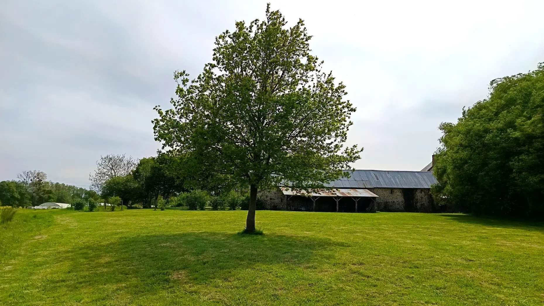 La Prairie du Bocage #4