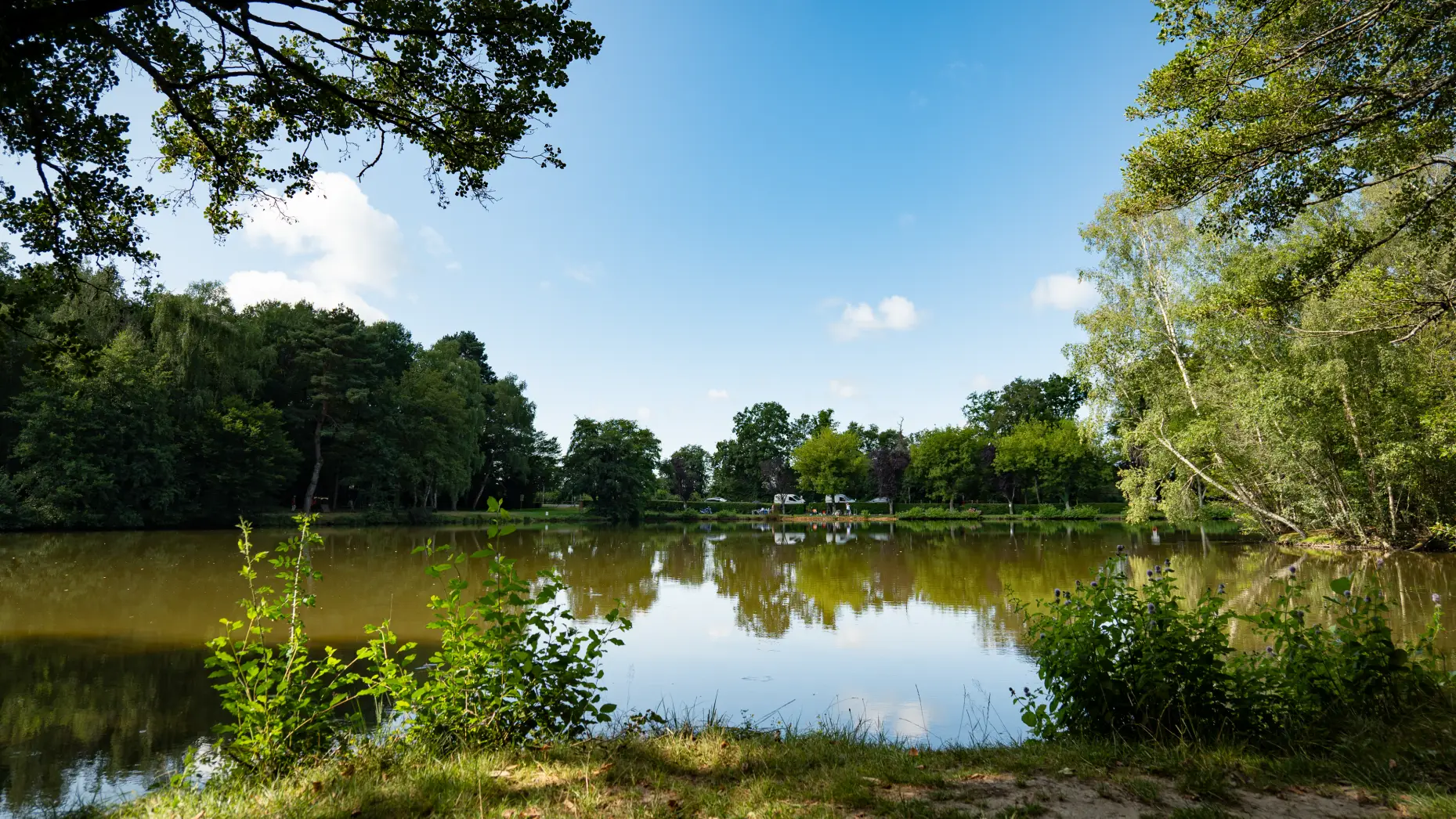 Camping du Petit Bois #17