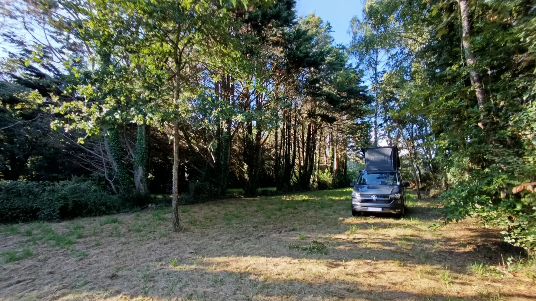 L’abri des grands arbres #4