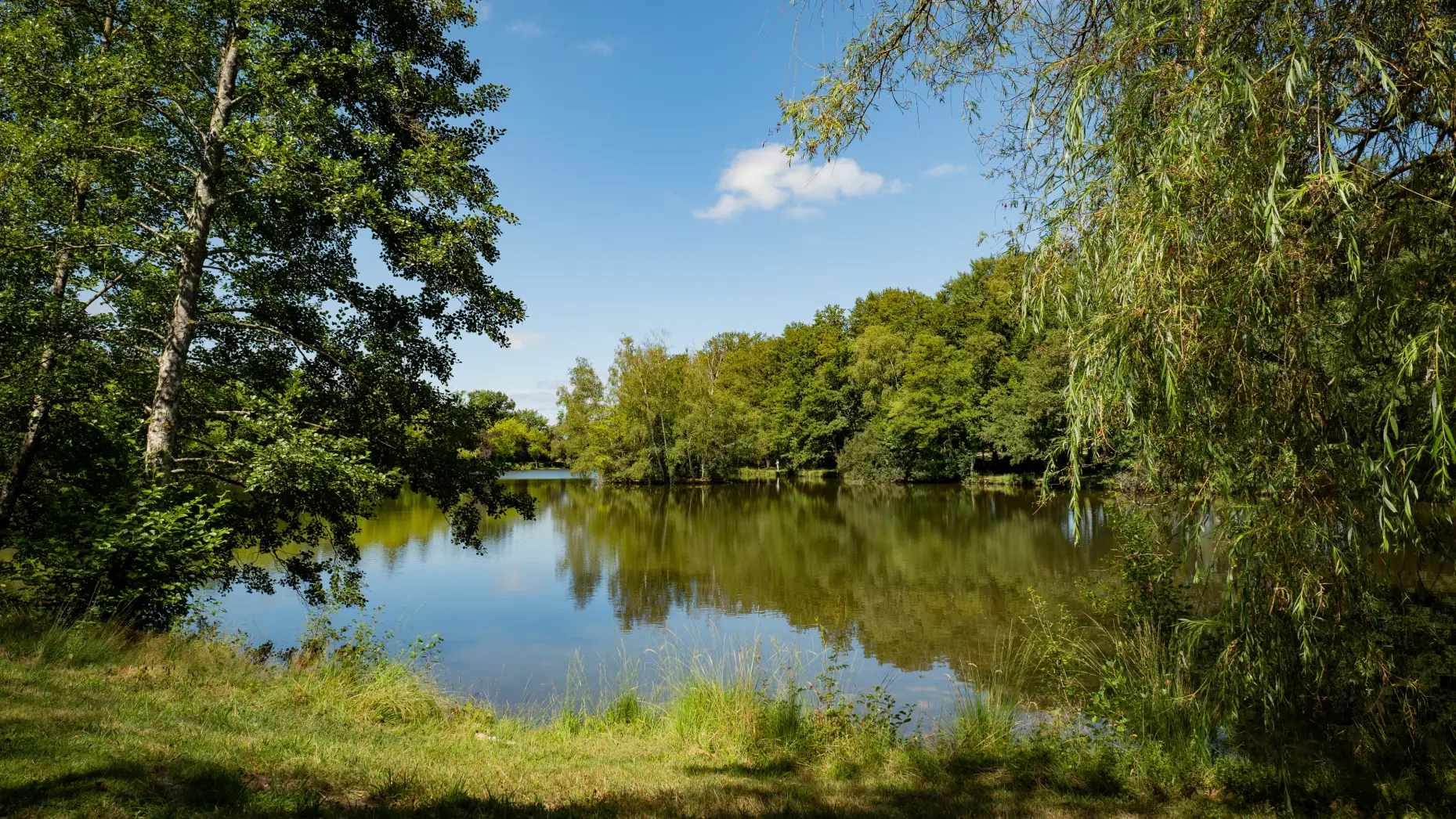 Camping Le Petit Bois #10