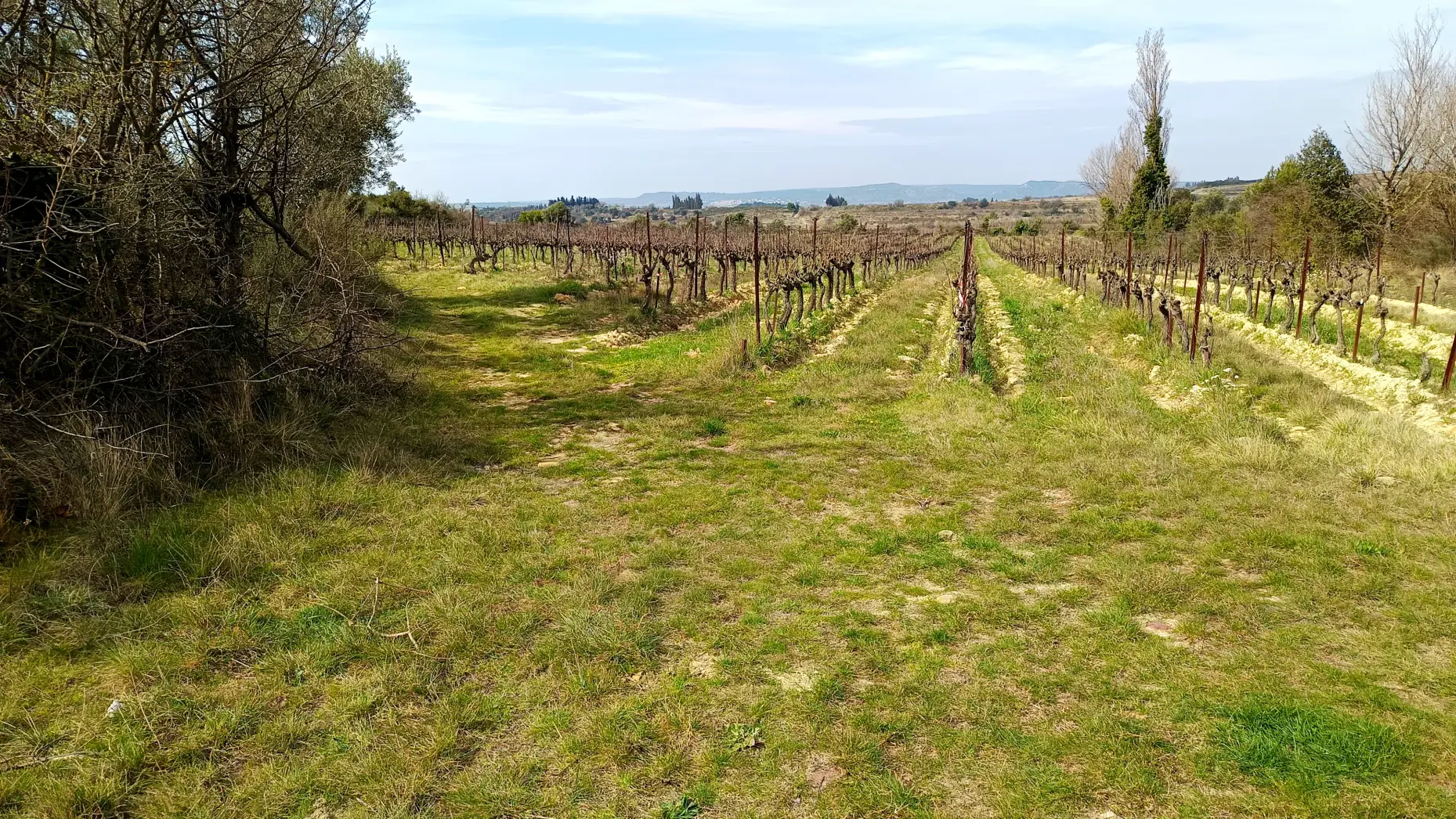 Domaine des romarins