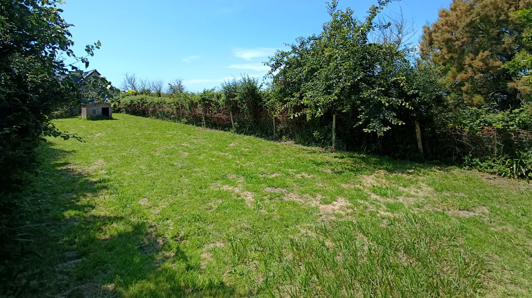 Le petit champ de Sciotot #5