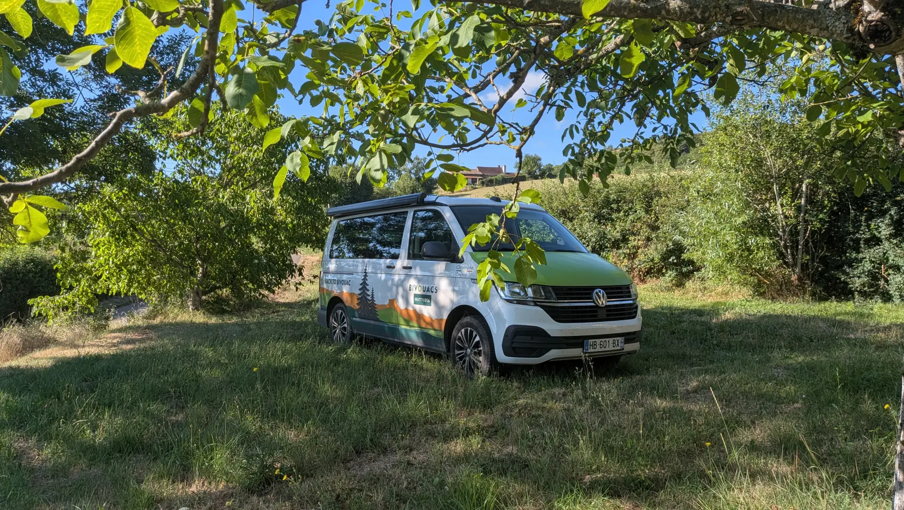 Un clou dans la vigne