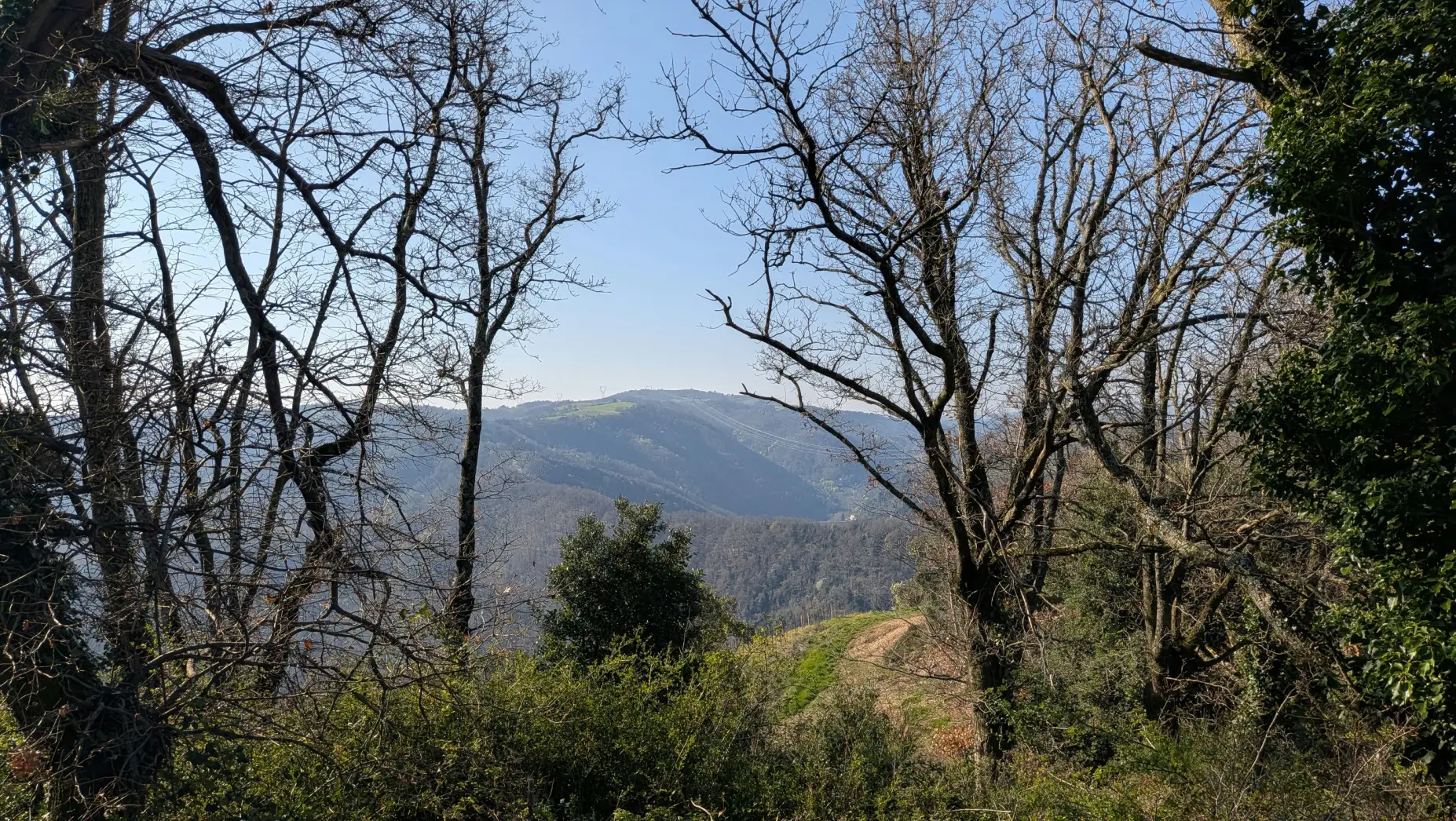 La Clairière des Terres de Beauvoir