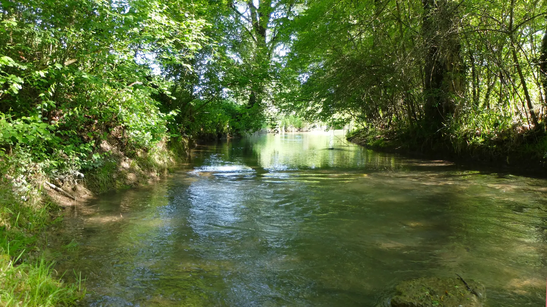 Le jardin des sculptures