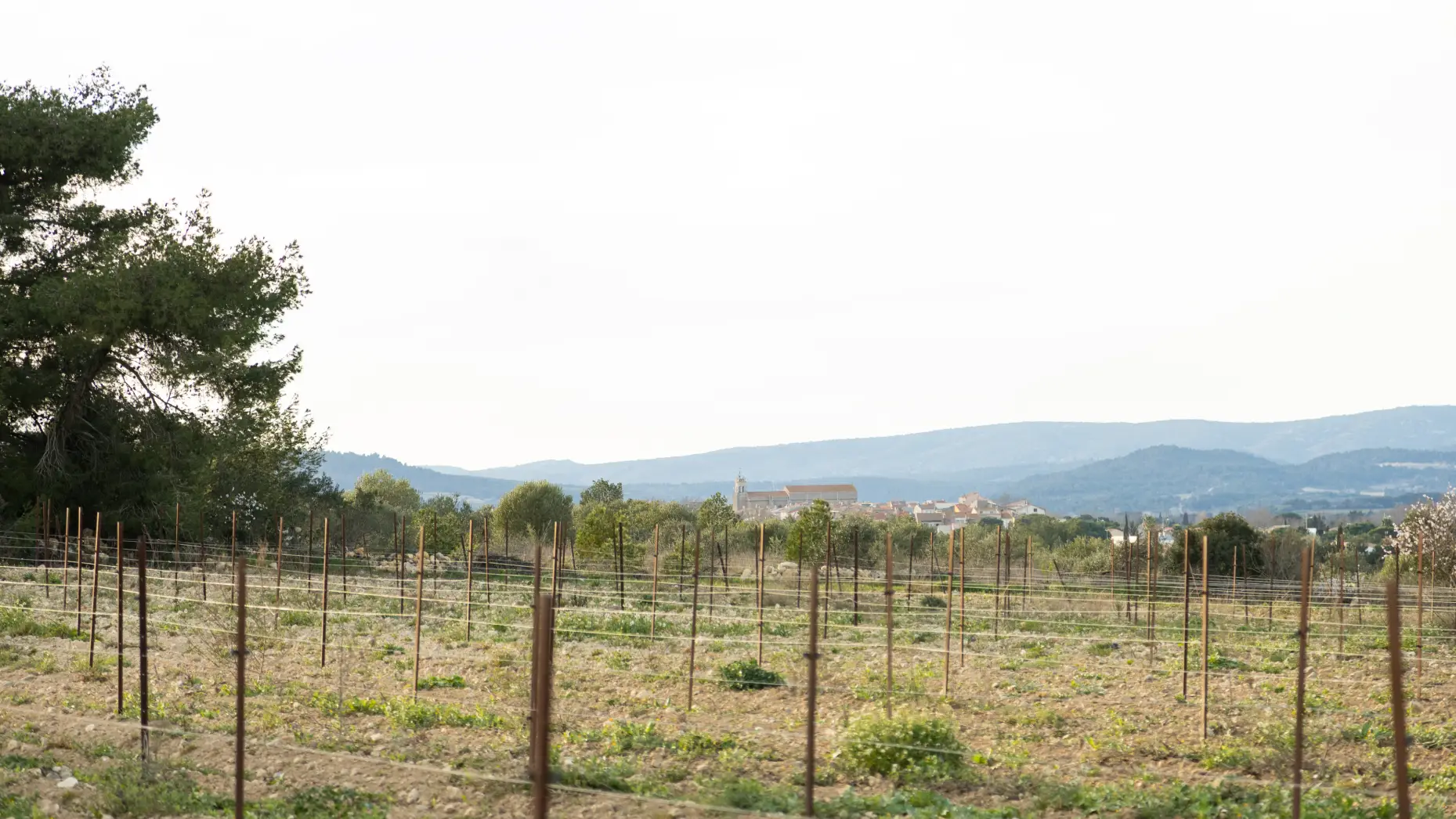 Le métal au vent #5