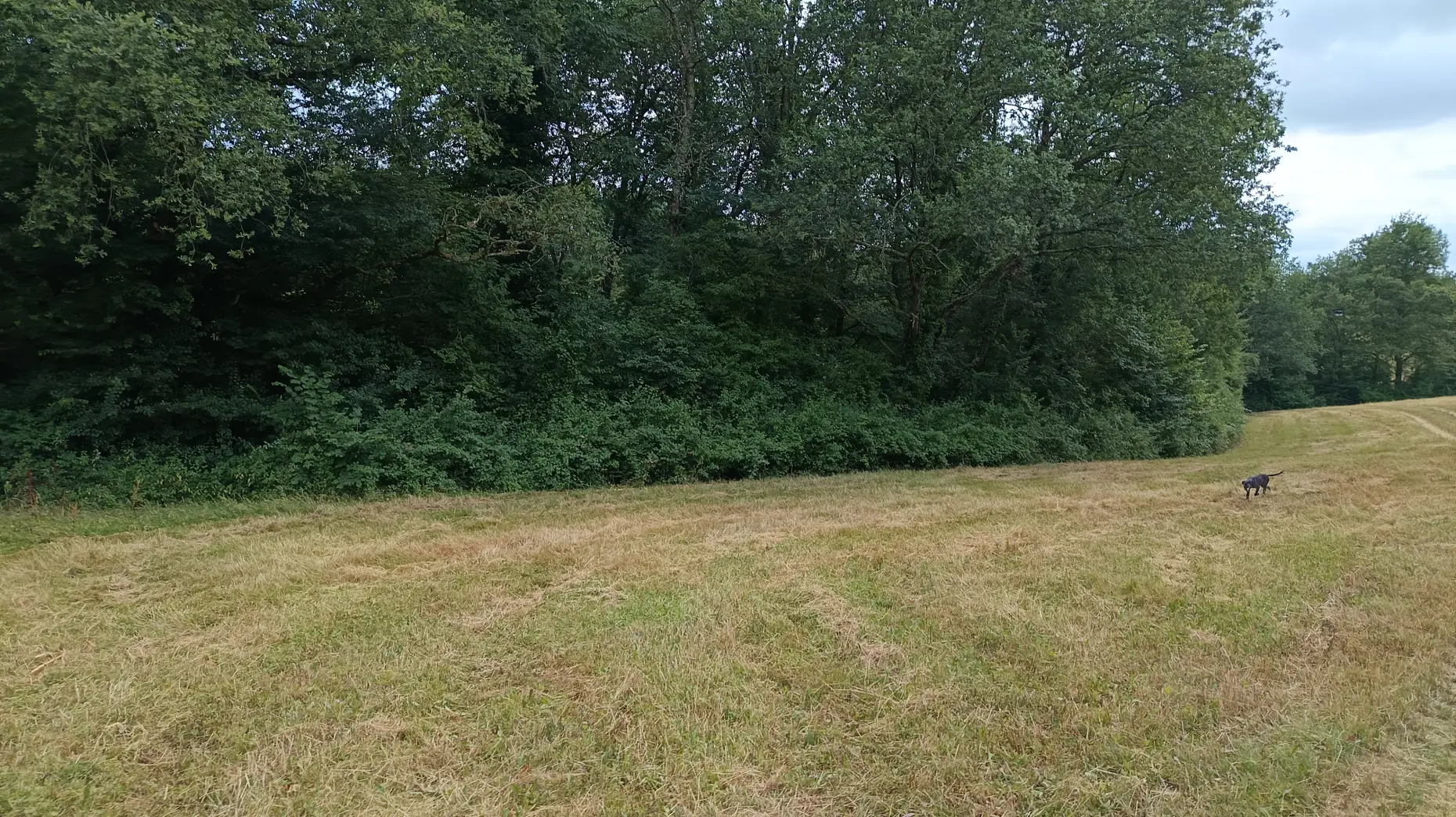 Le potager du Gers