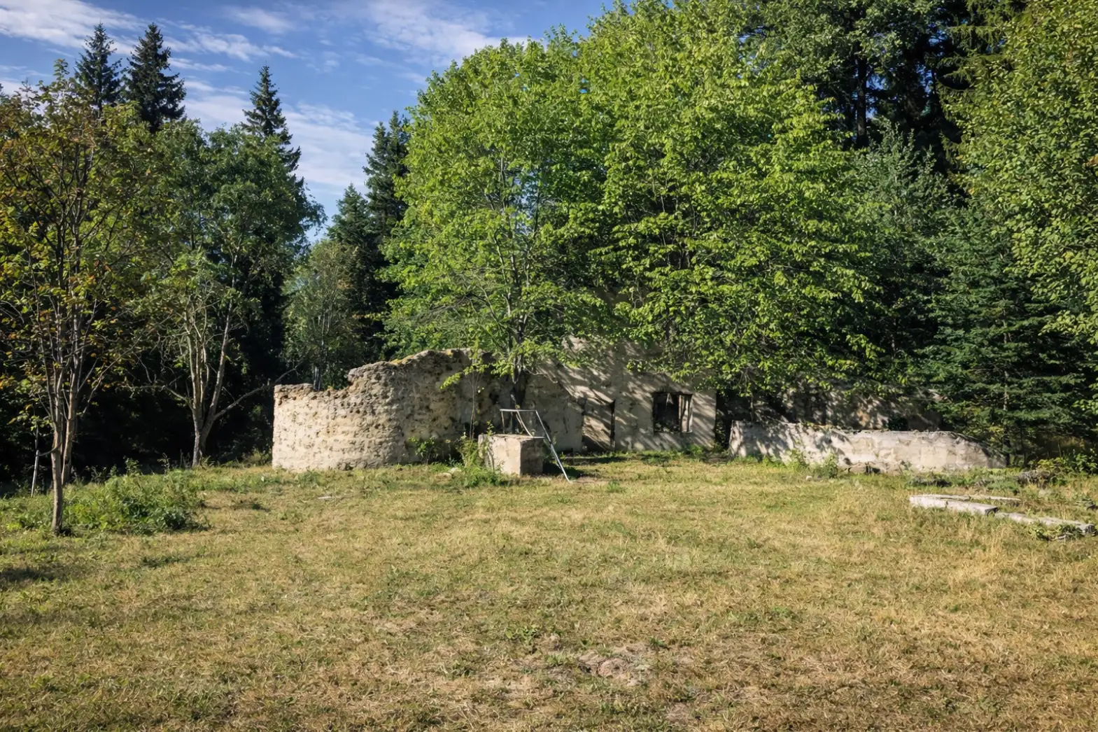 La prairie de Peïra Cava
