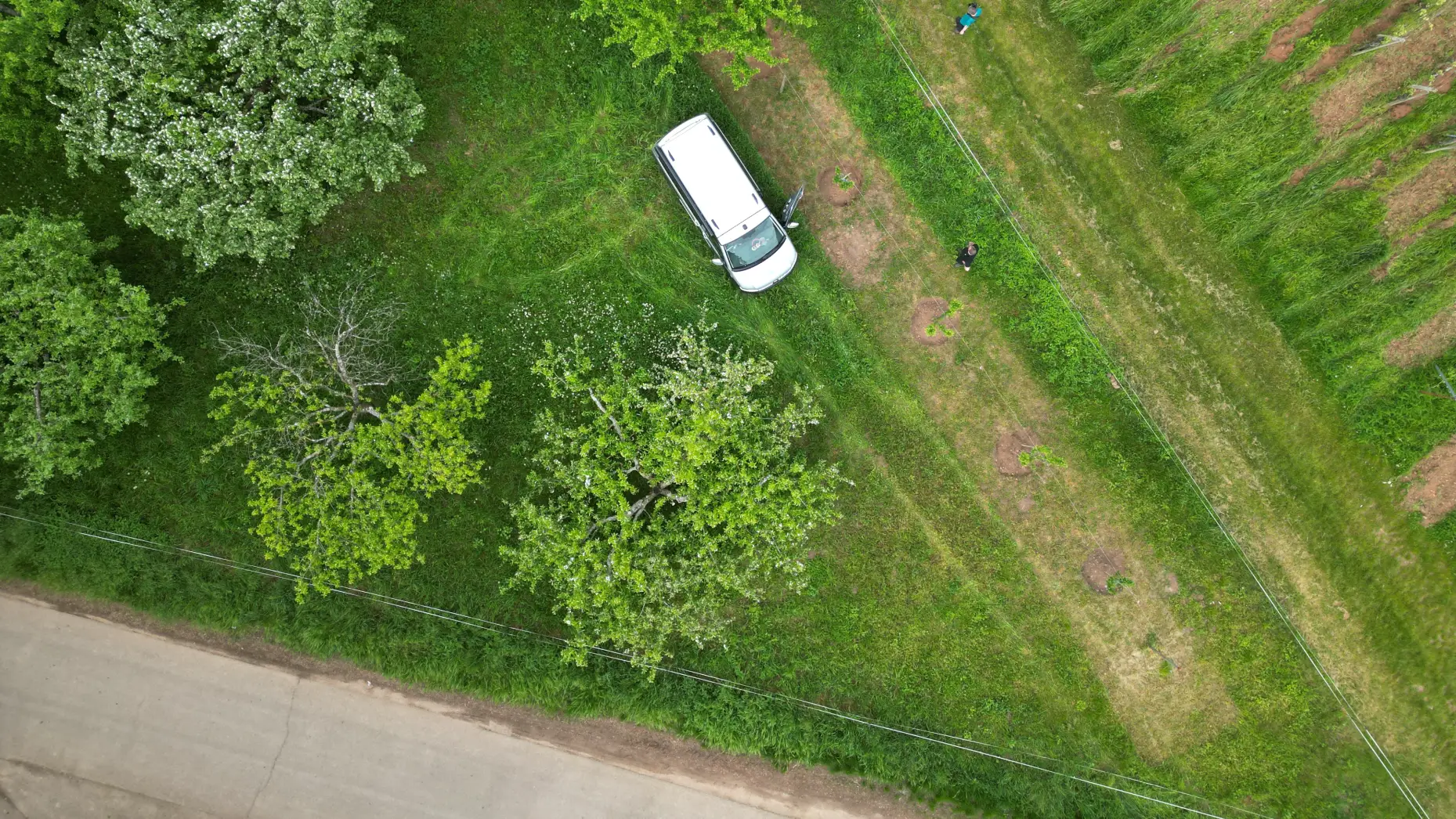 Verger de Bollenberg