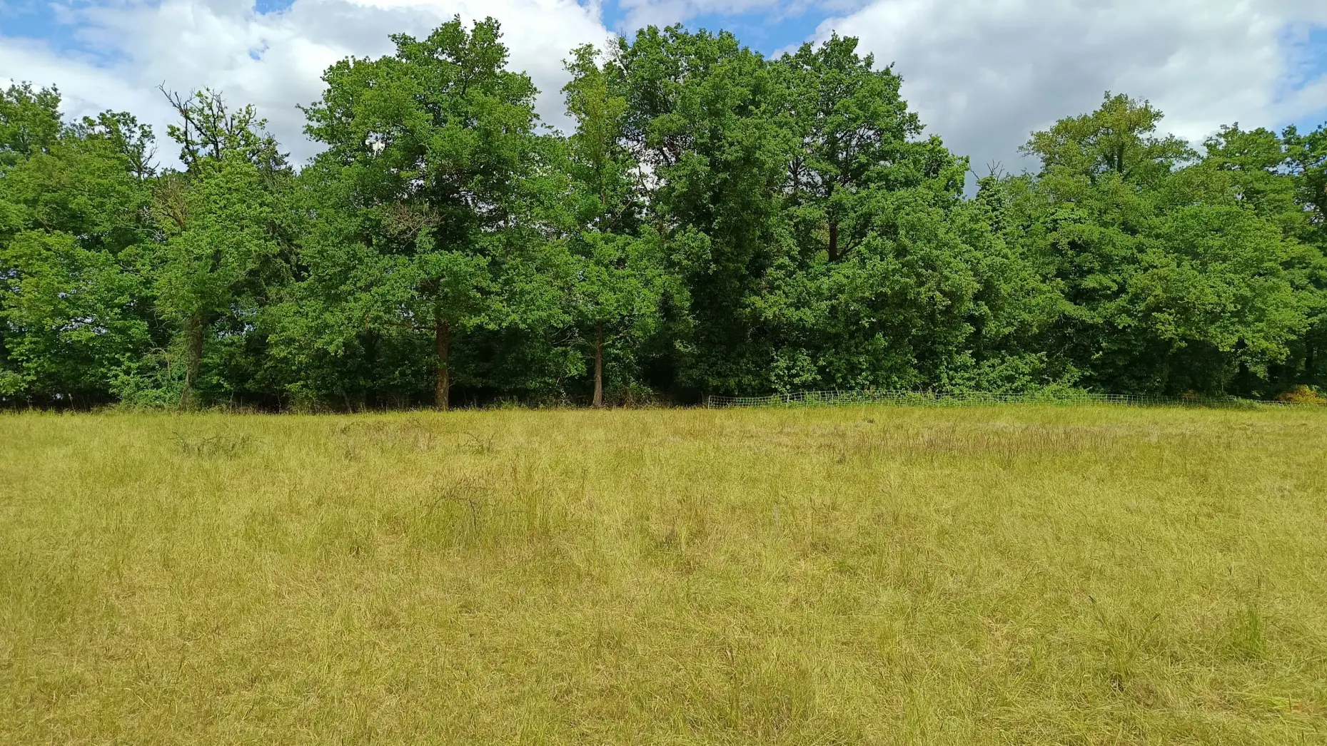 Domaine de bois Mozé