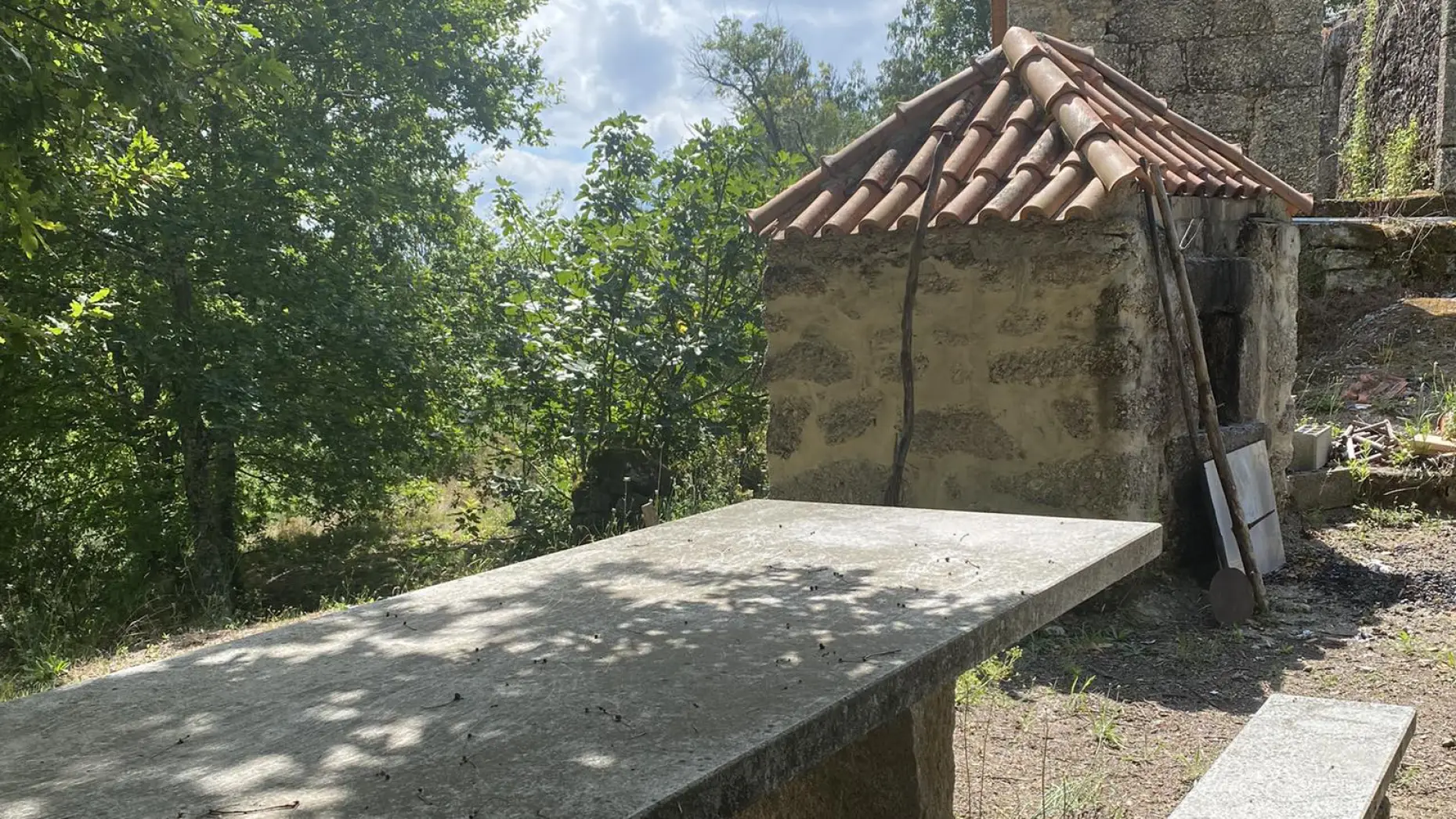 Olival