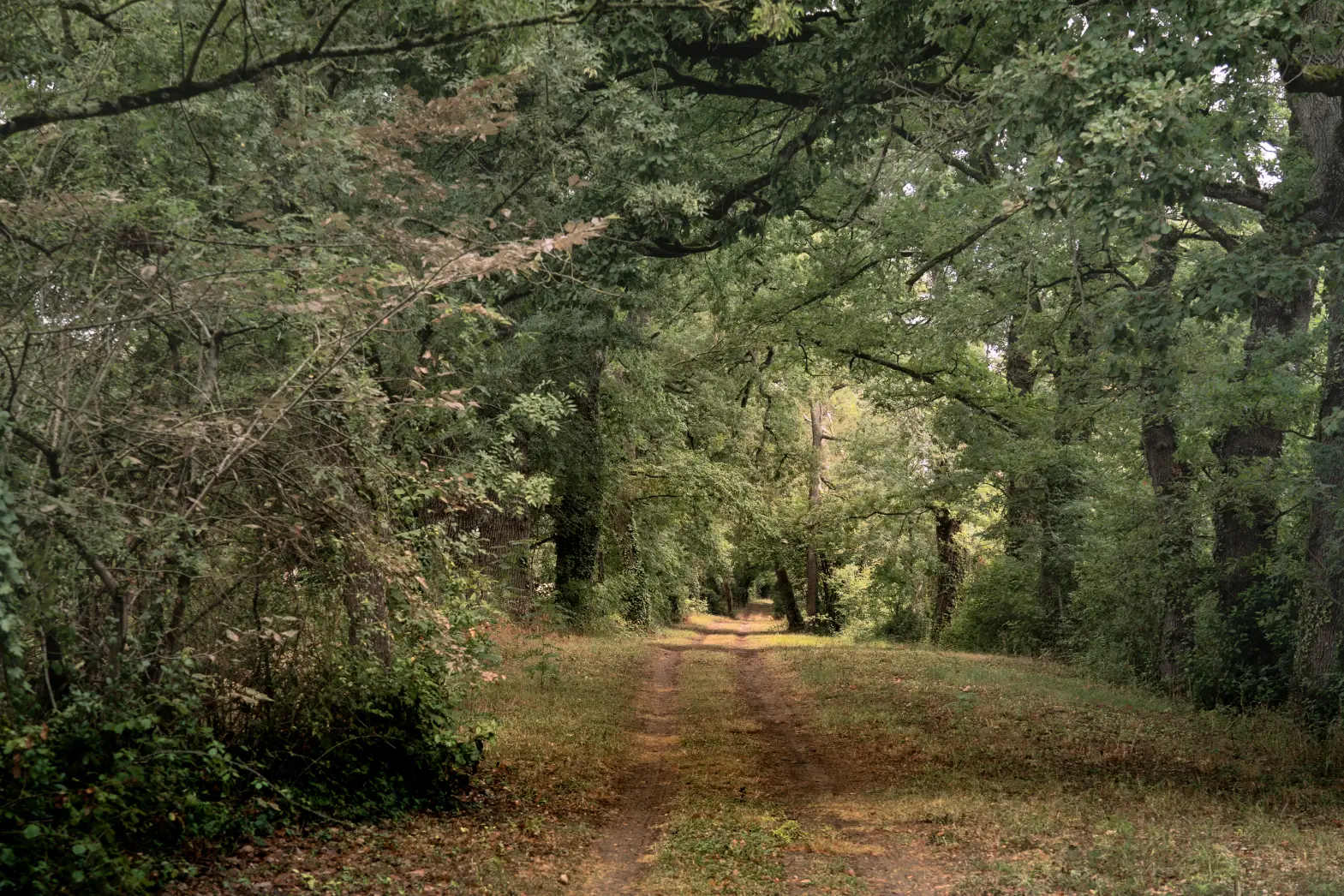 L'Escale du Canal du Midi #5