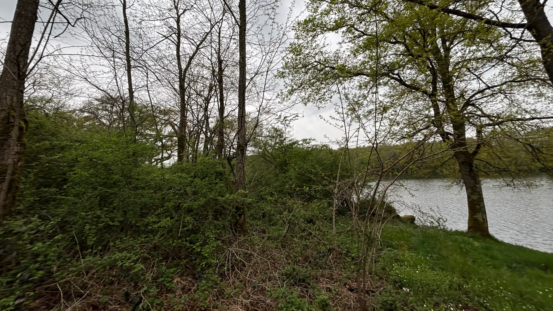 Sous les arbres de Mautaubry #5