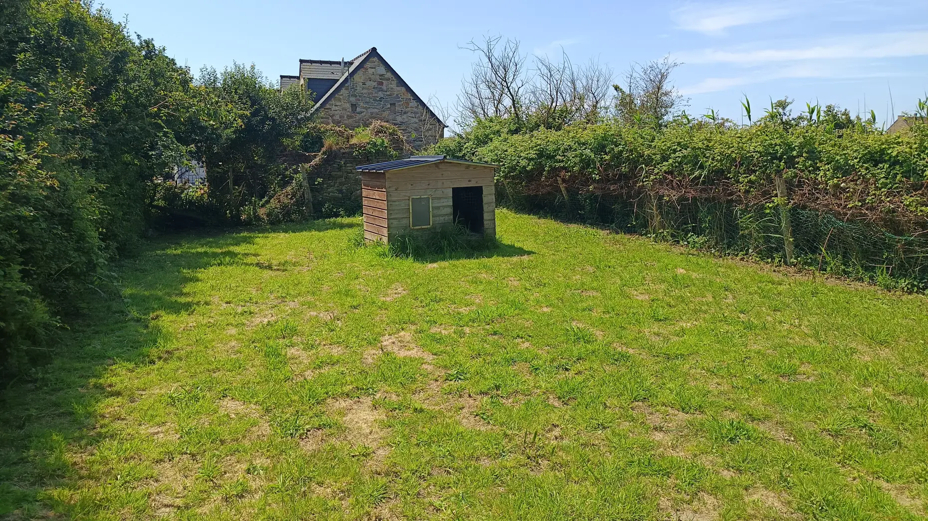 Le petit champ de Sciotot #4