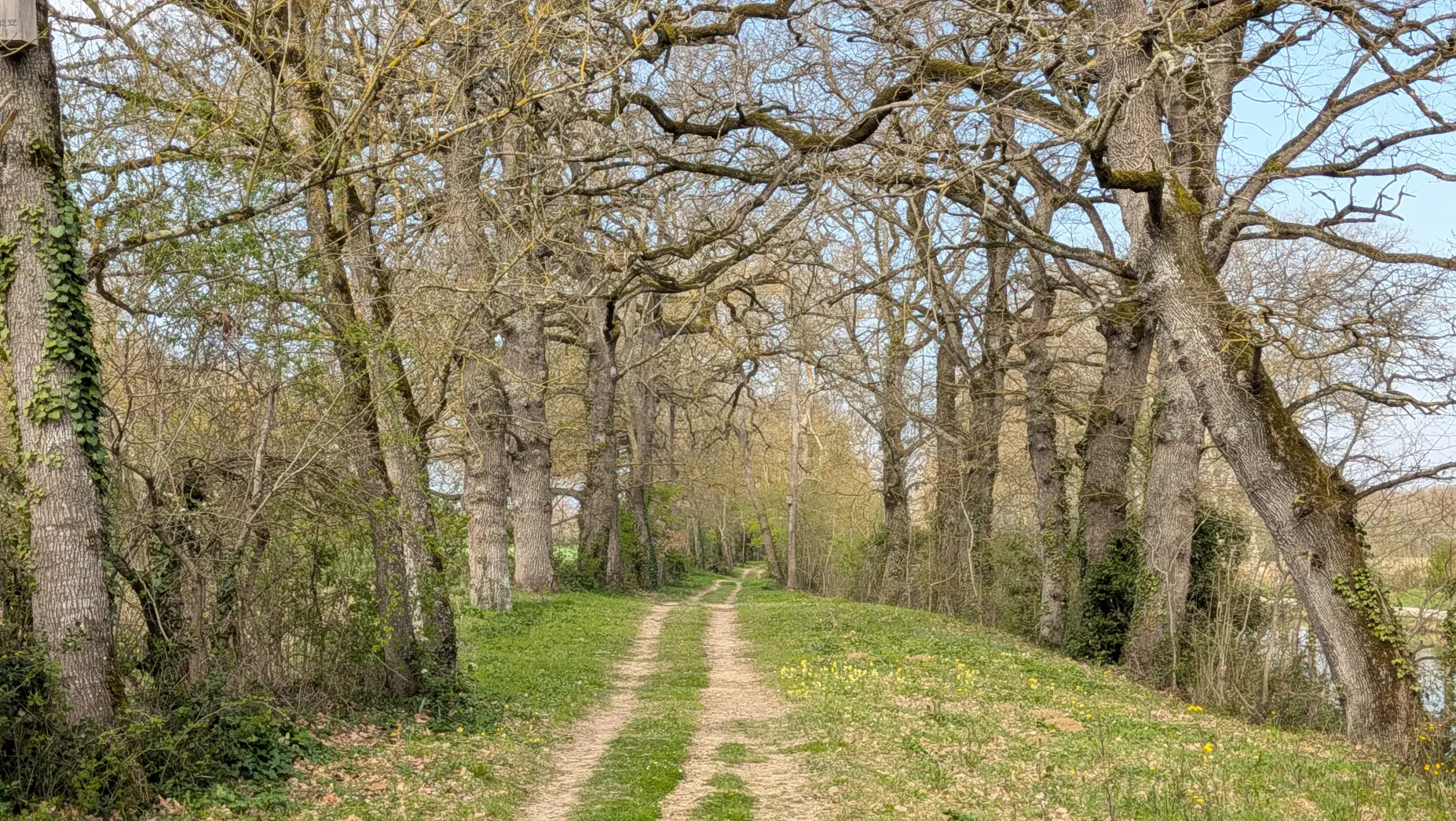 L'Escale du Canal du Midi #5