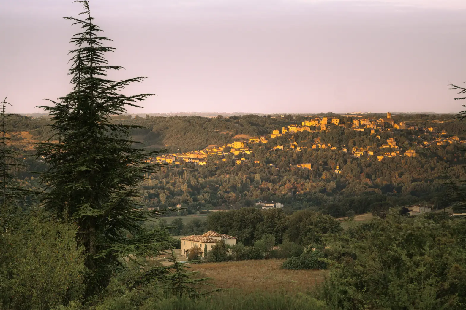 Mon Château #7