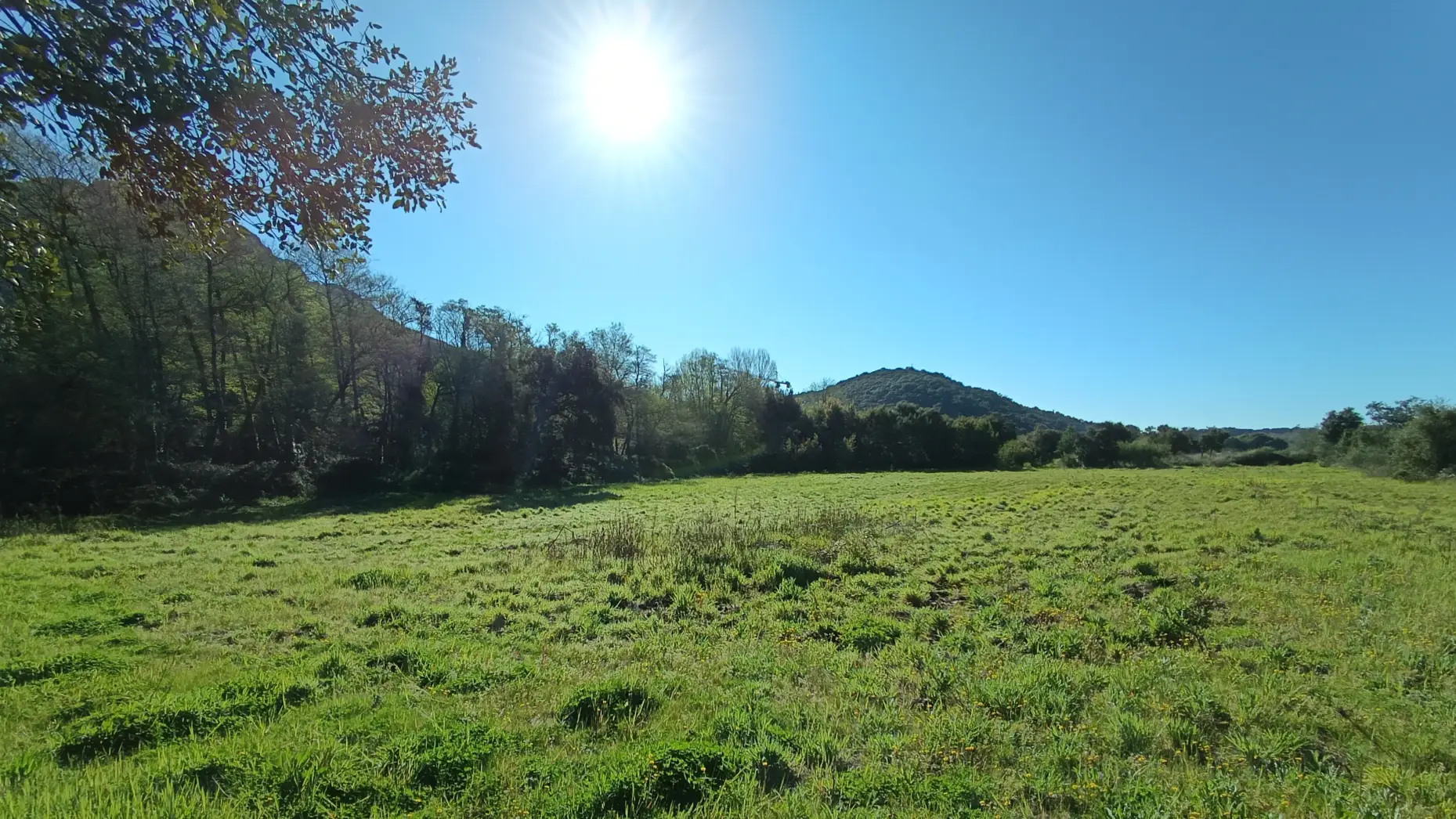 Les hauts d'Agay