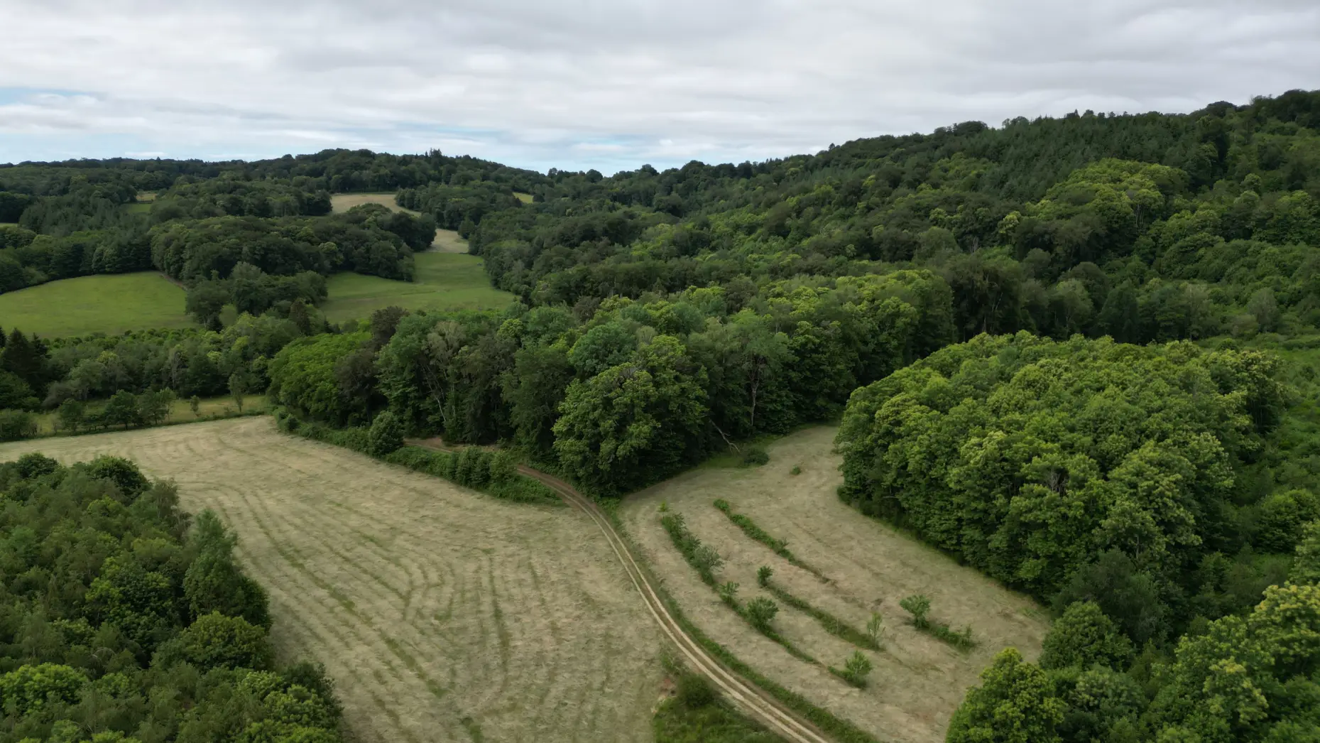 Le Verger de la Creuse #6