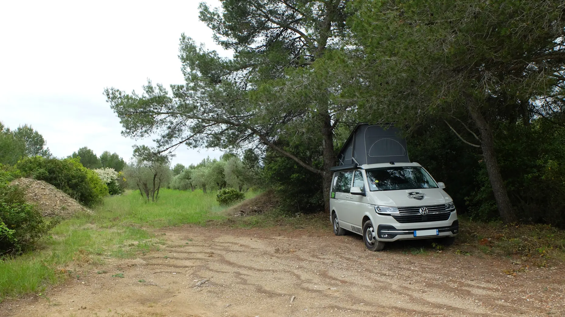 Montaud #6