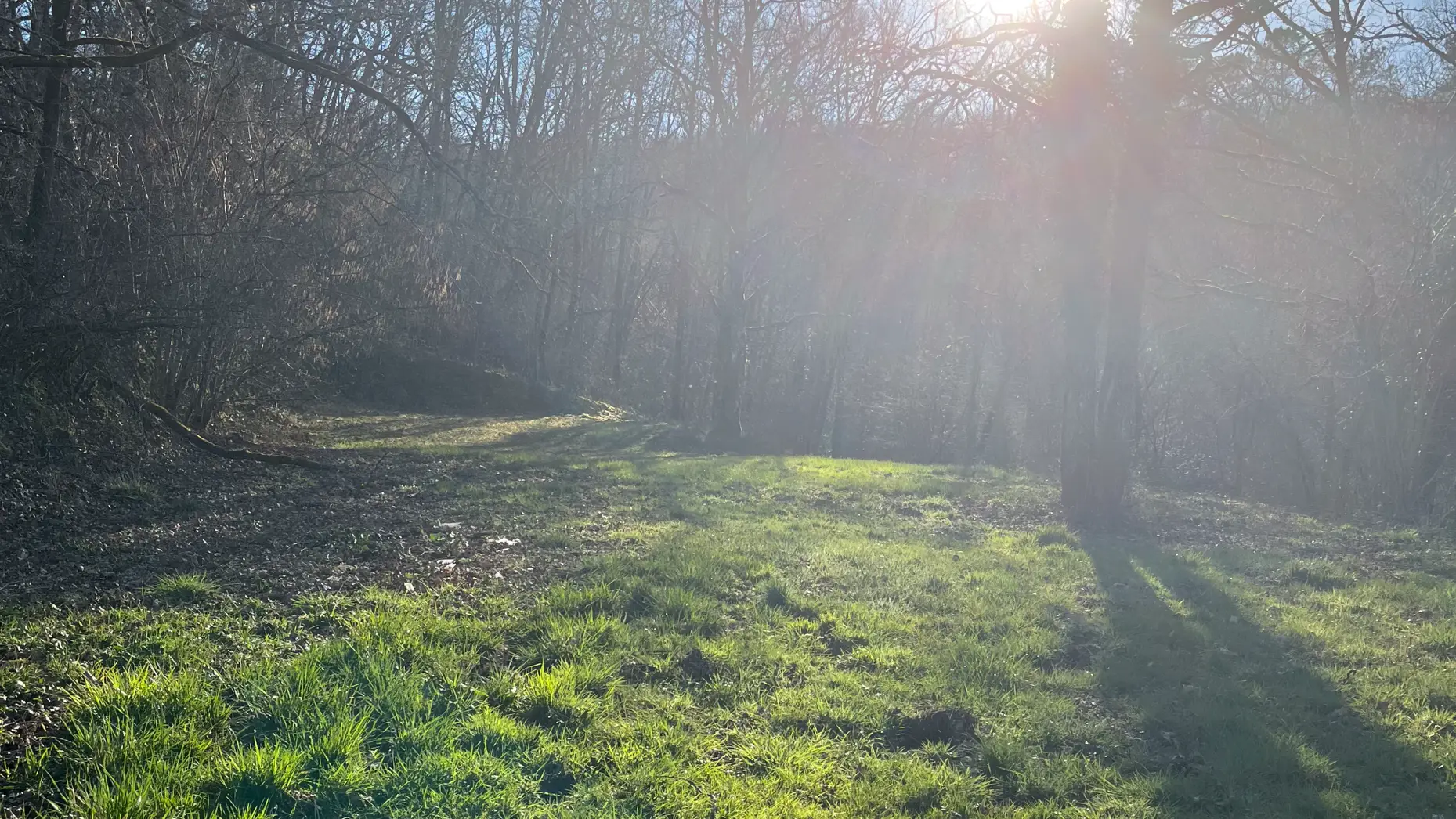 Les Terrasses de Coly