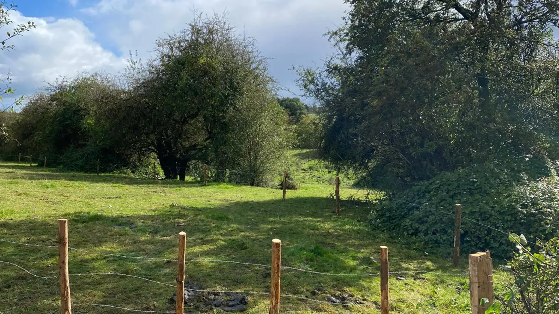 Aux nouées de Saint Hubert #4