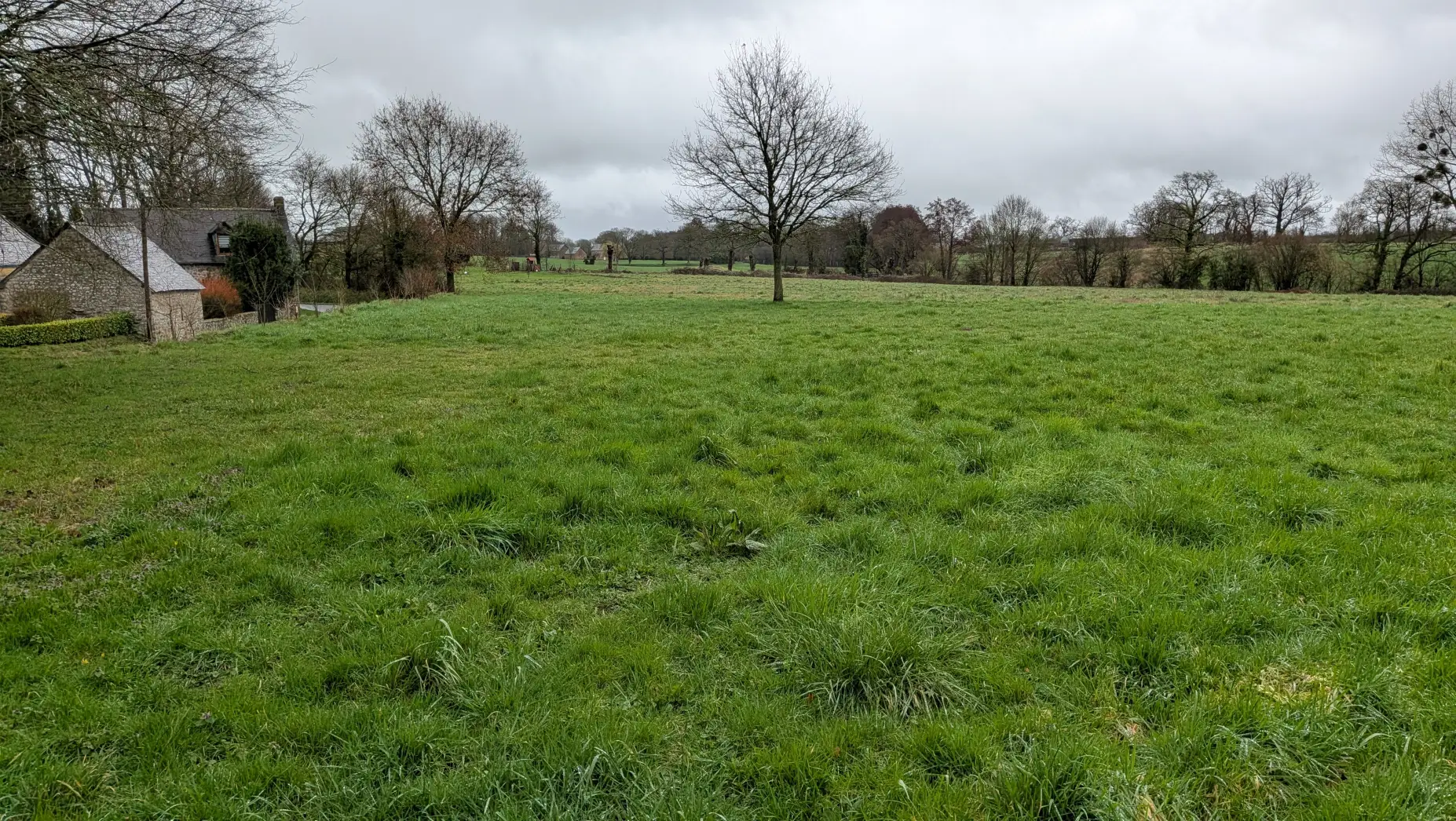 La Prairie du Bocage #5
