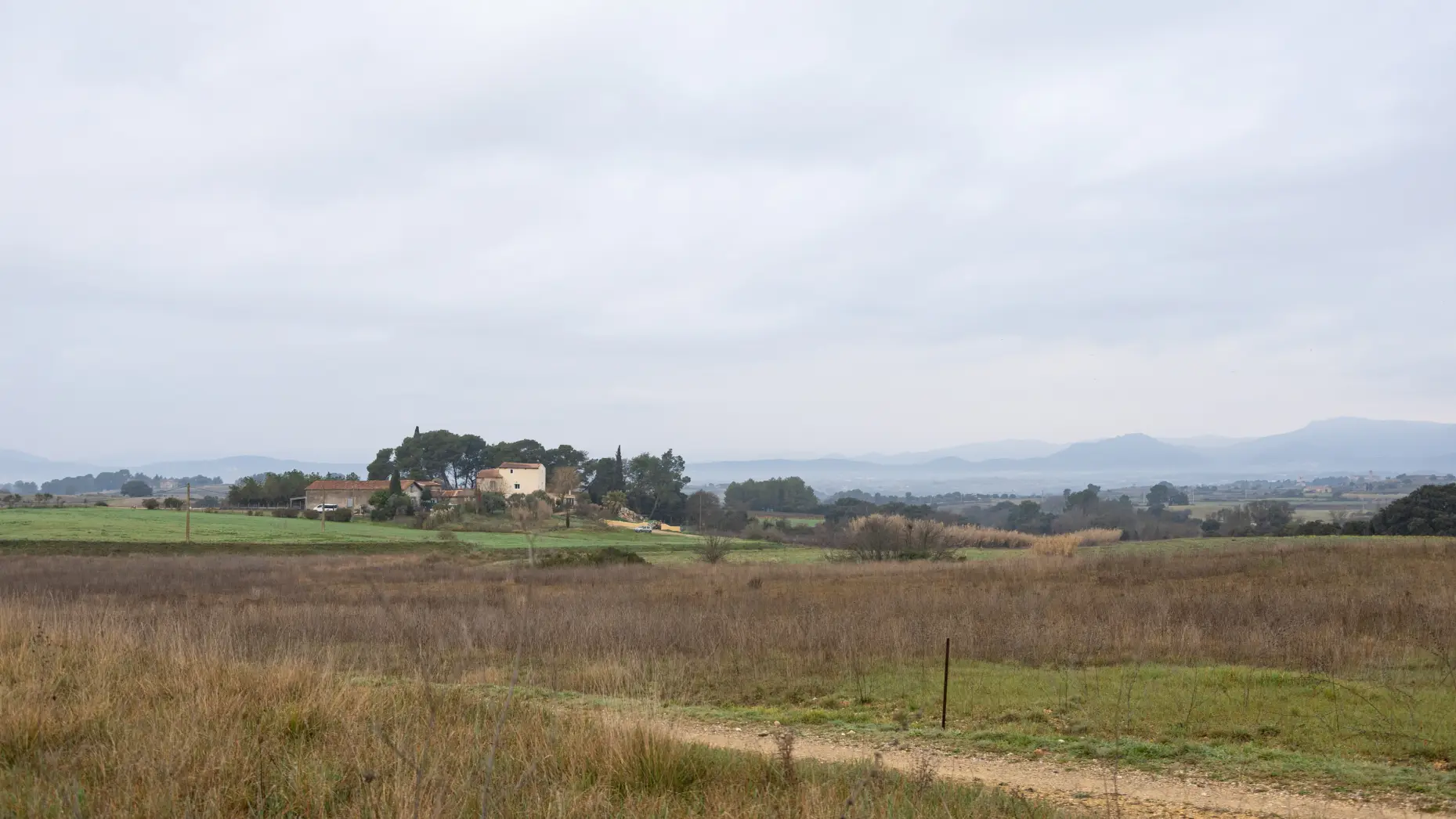 La vue du champ