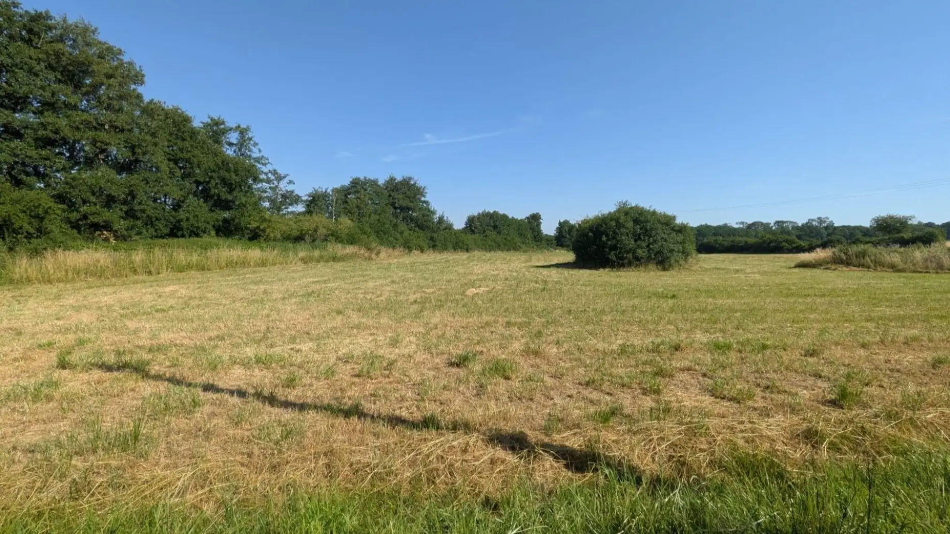 Le pré du domaine
