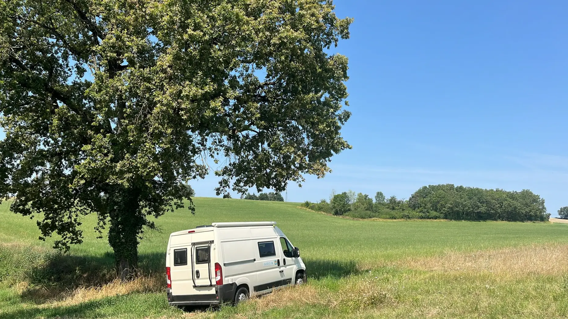 L'arbre de Capendut