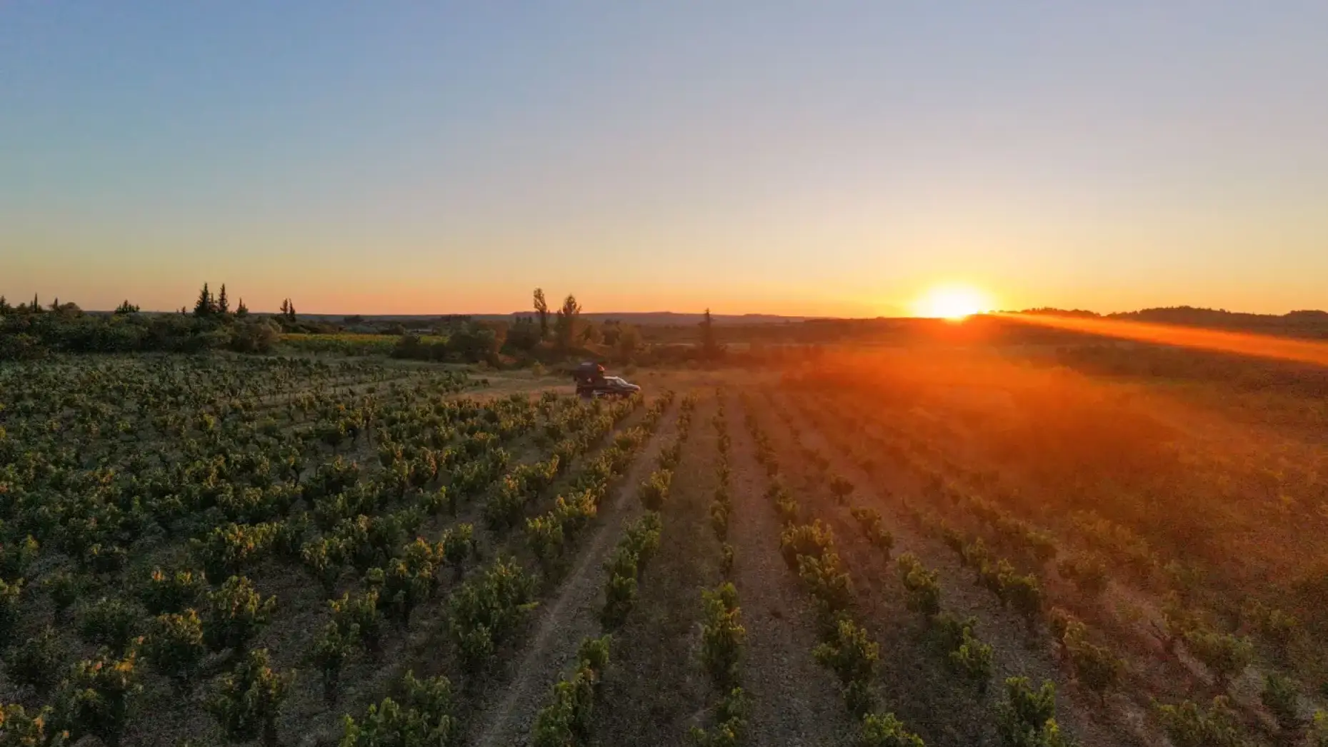Domaine des romarins