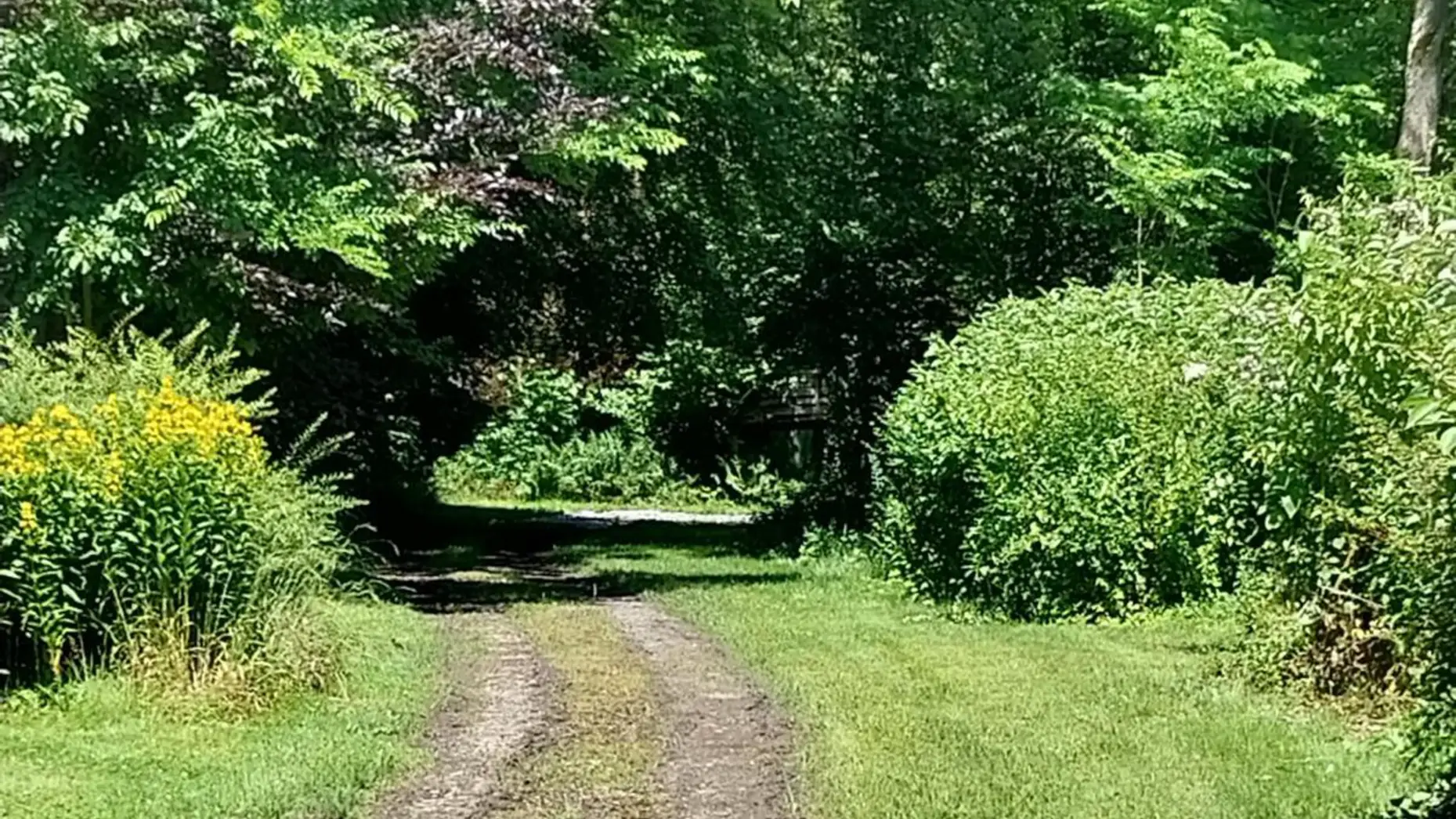 Le domaine du château #6