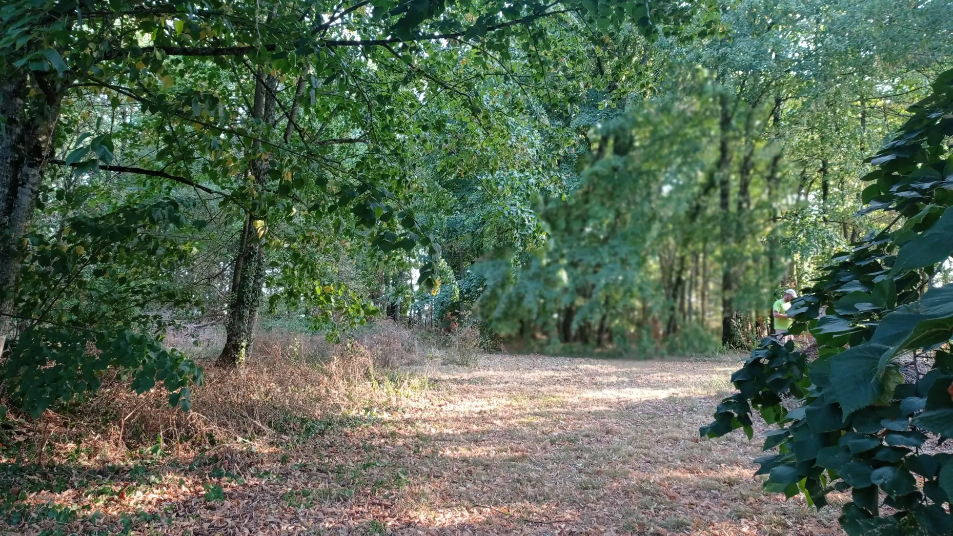 Domaine de La Gayé 1