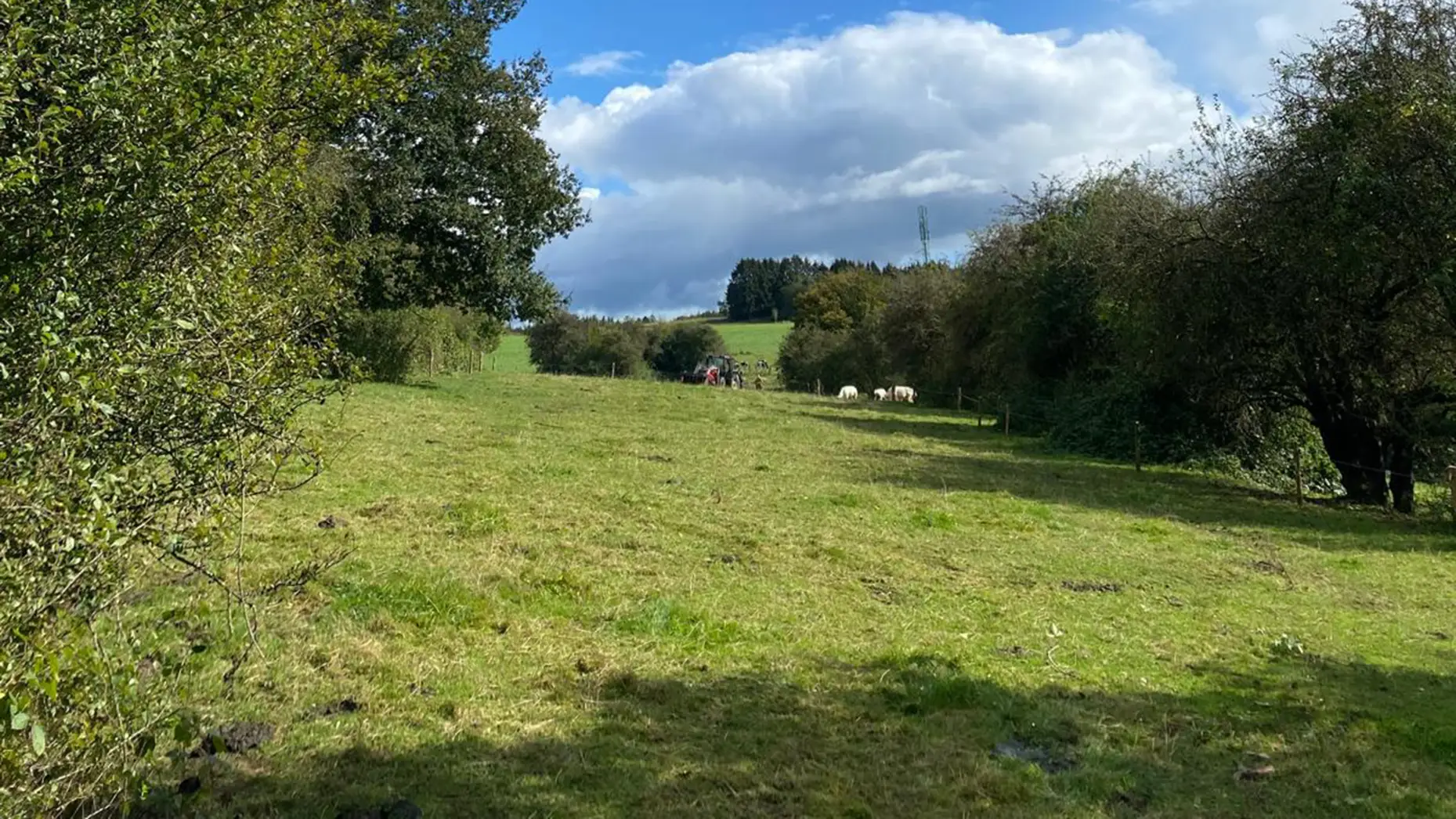 Aux nouées de Saint Hubert #5