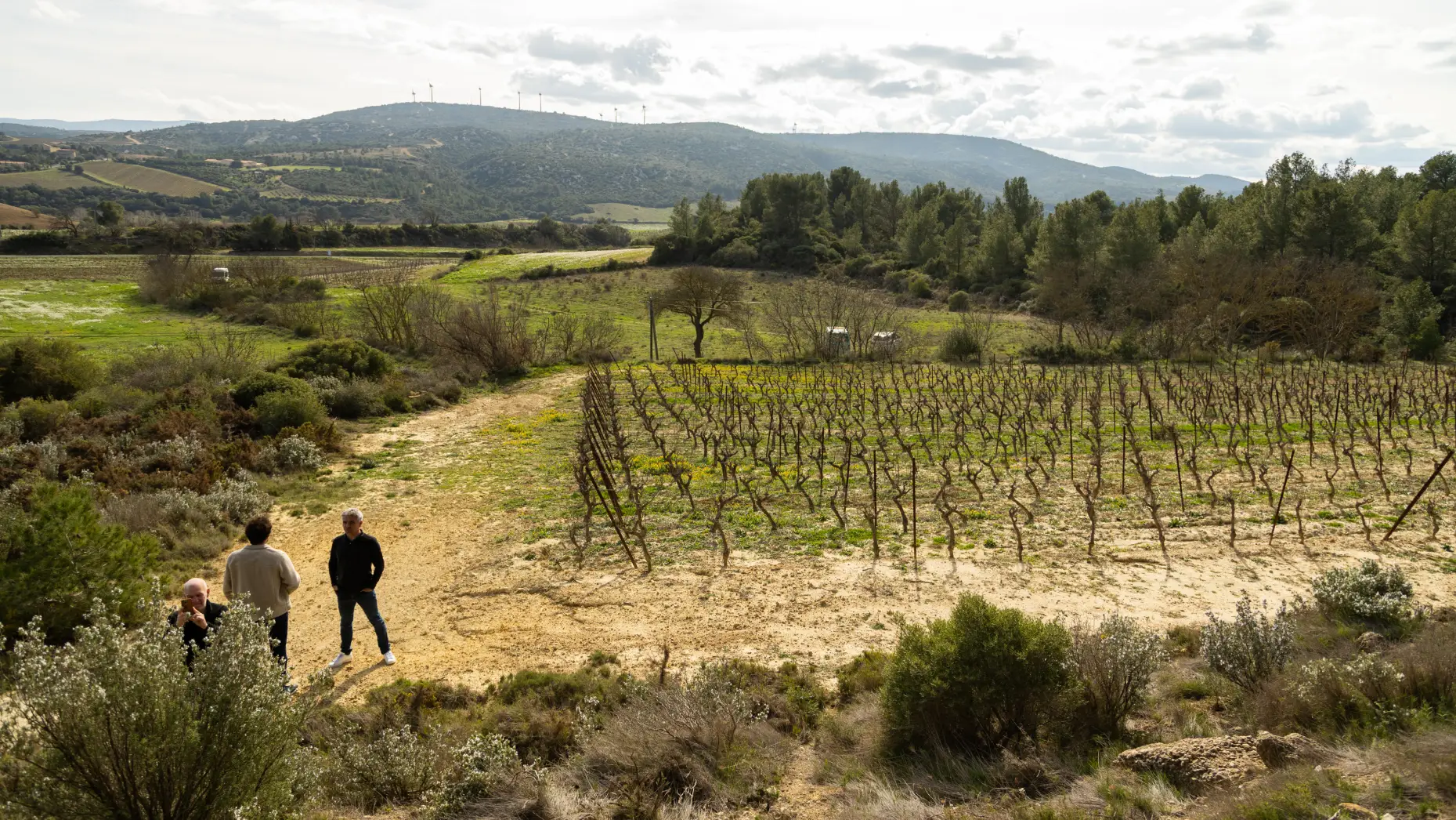 Le circuit des vignes