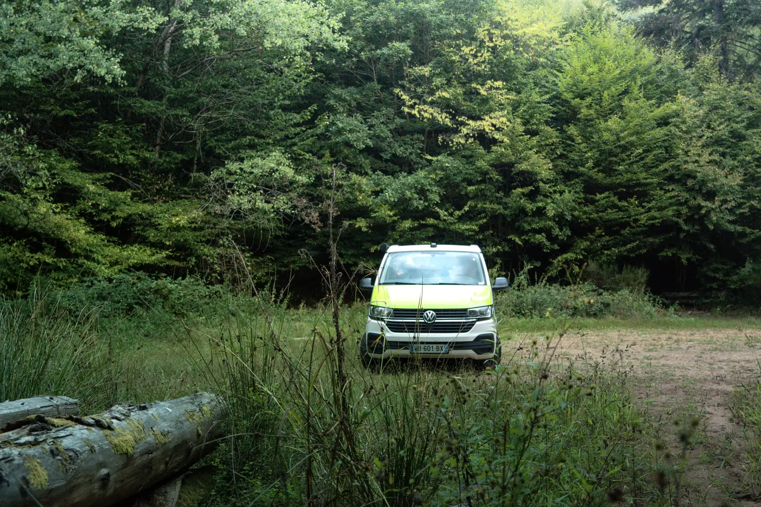 Le Refuge Forestier #4