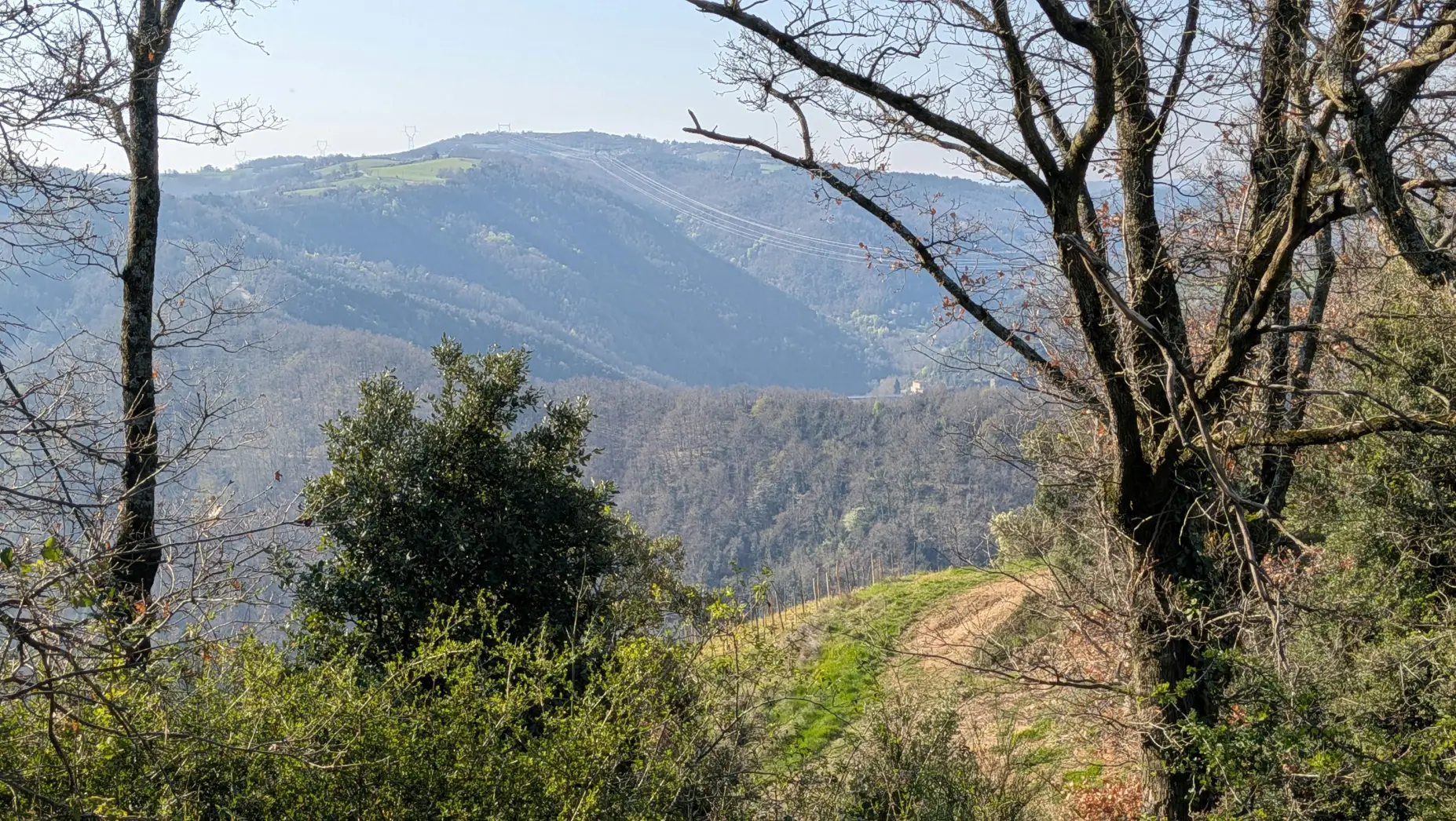 La Clairière des Terres de Beauvoir