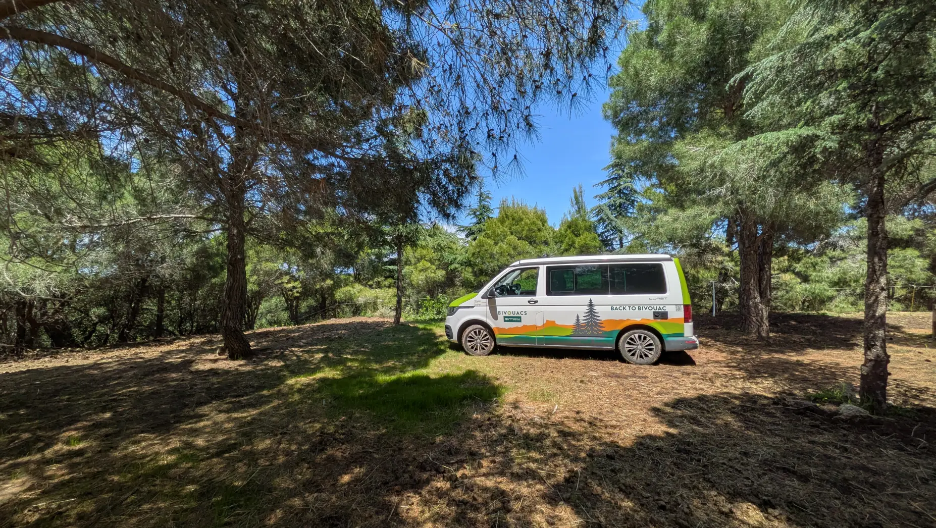 Sous les Pins d’Argelès #8