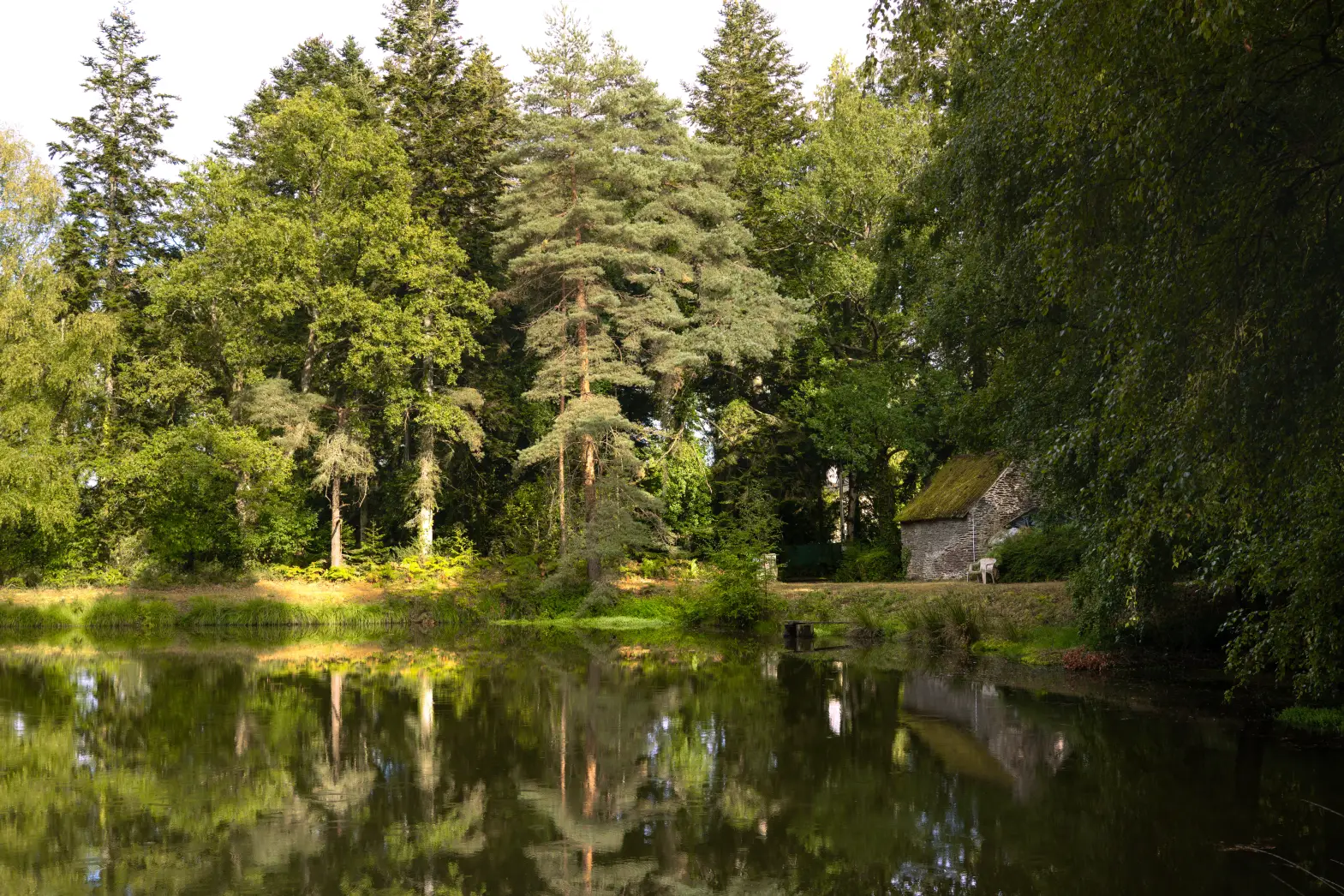 L'étang de Brocéliande #4