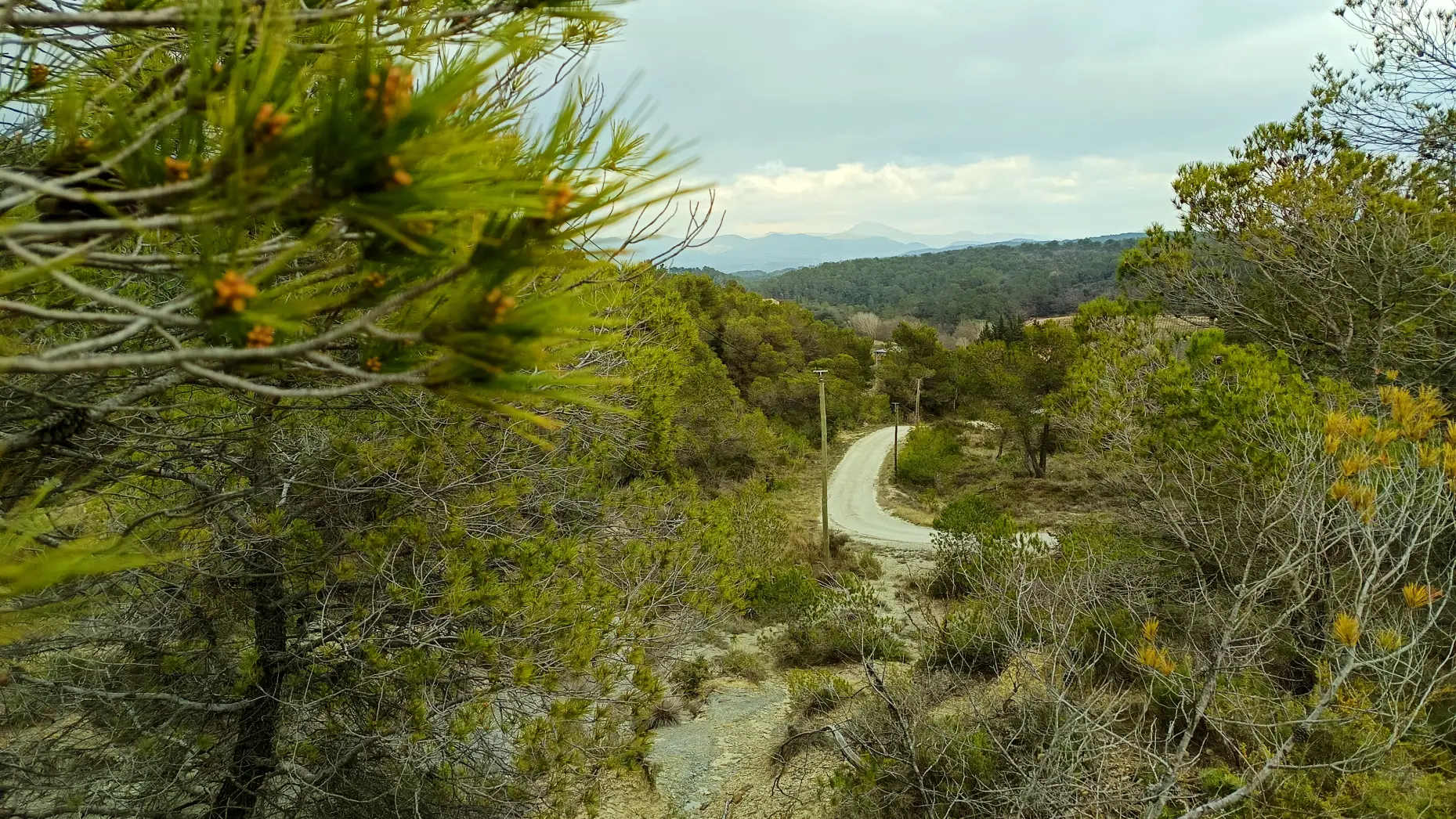 Maupas (mauvais passage) #6