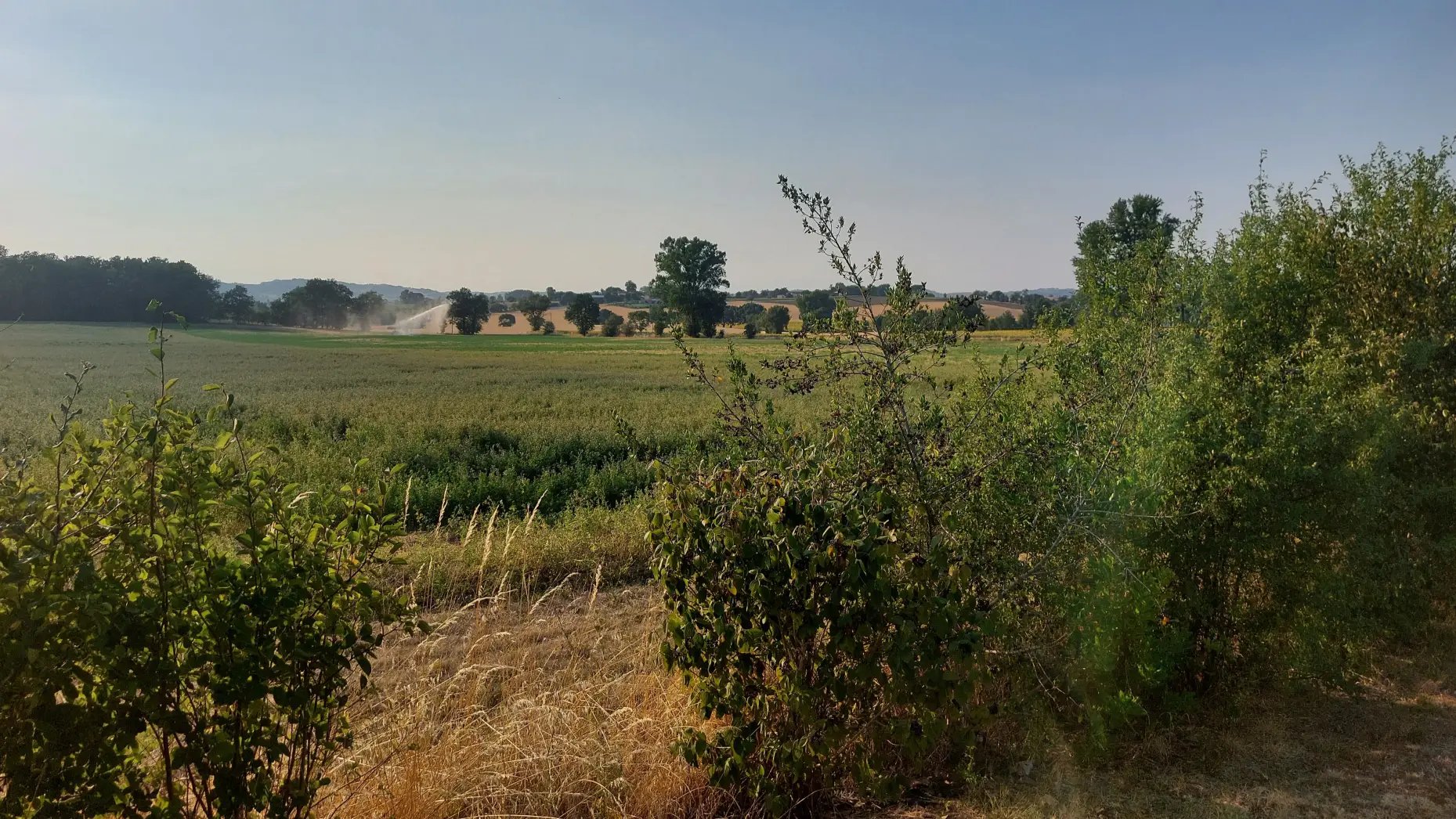 Domaine de La Gayé 2 #4