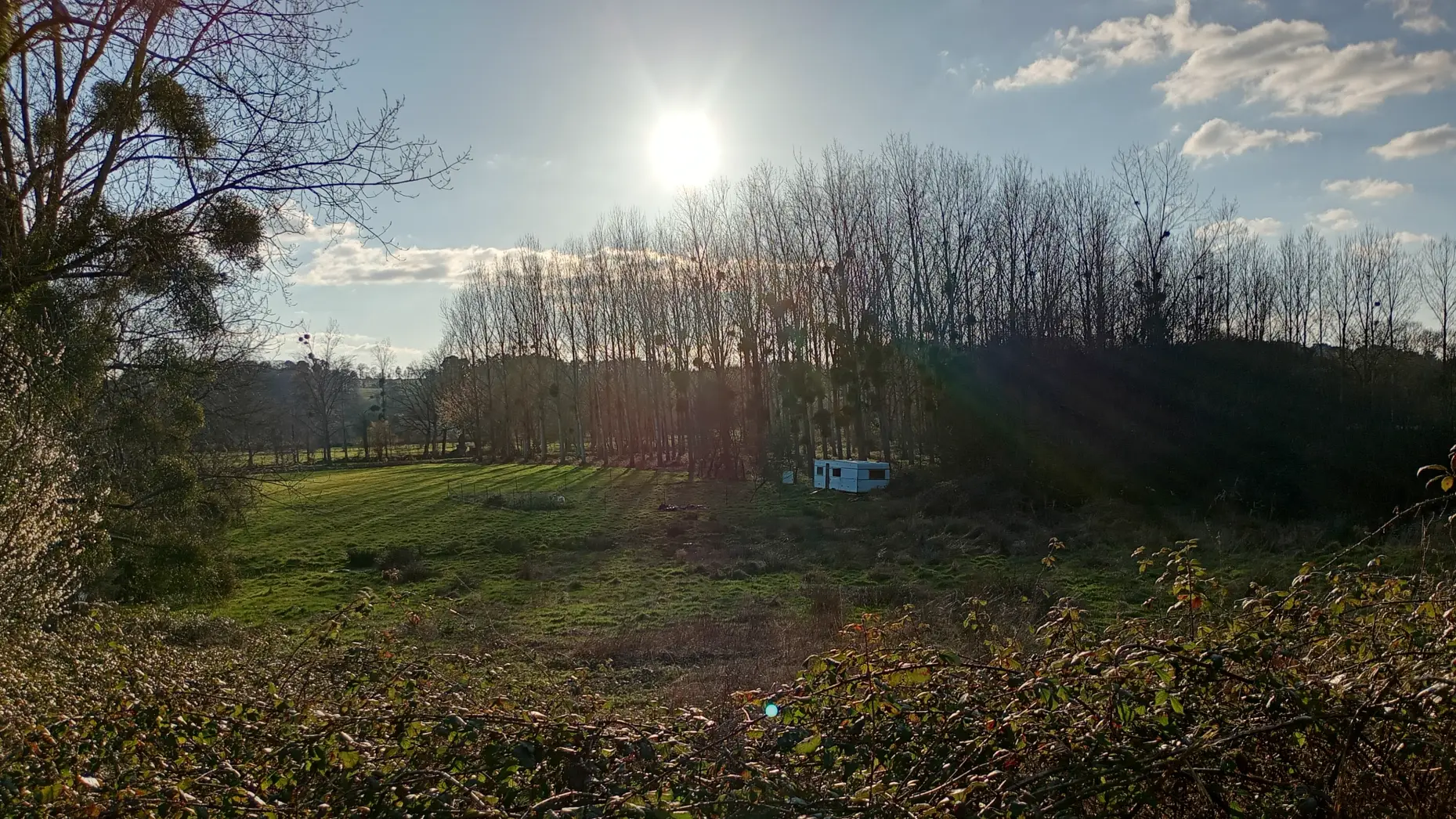 Le bivouac des chèvres heureuses #5