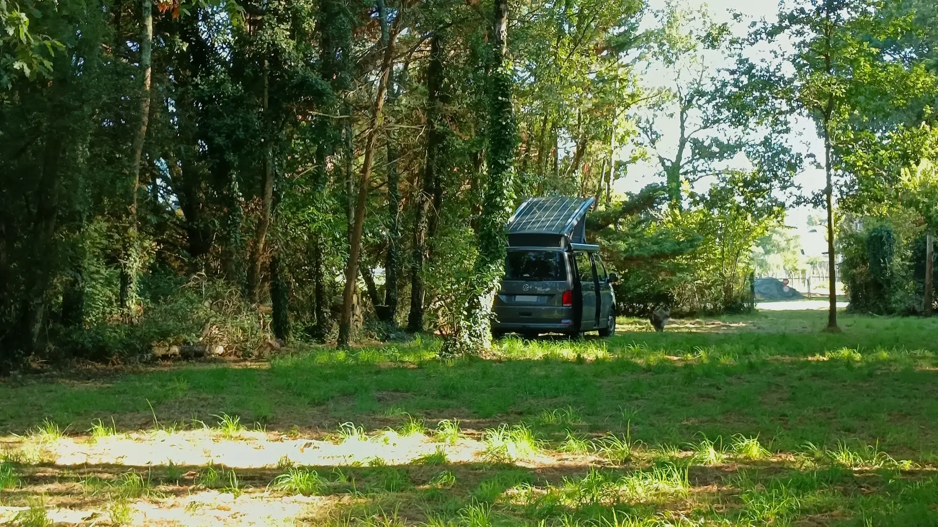L’abri des grands arbres