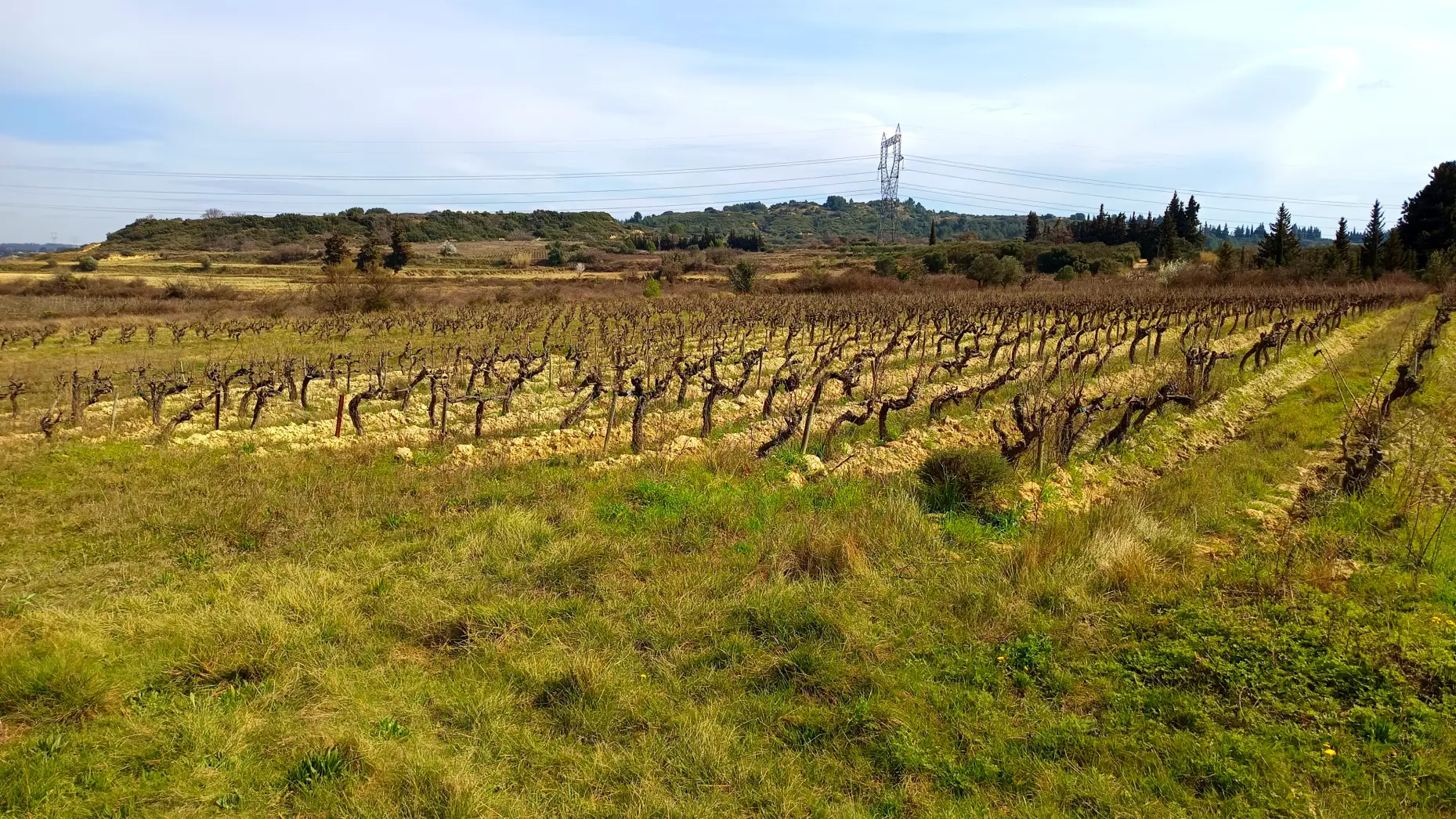 Domaine des romarins