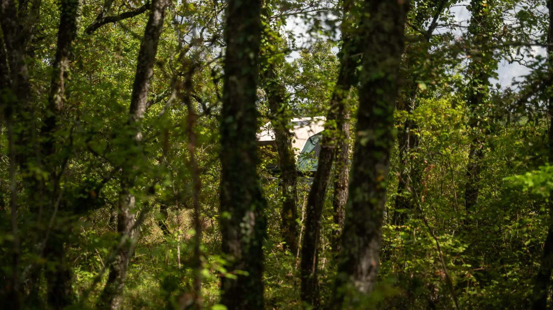 La vue des templiers