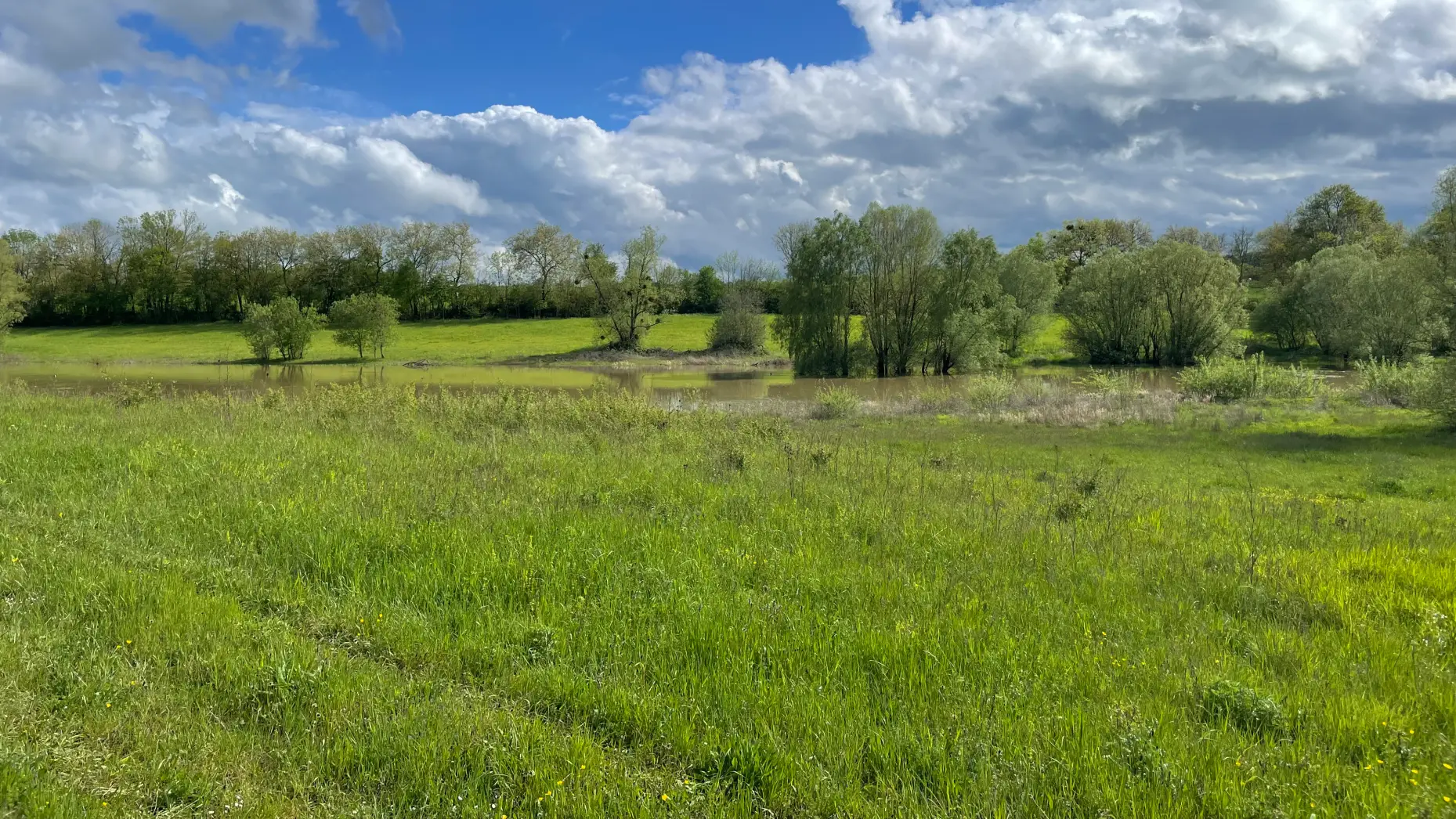 Lac de Chazilly 1 #9